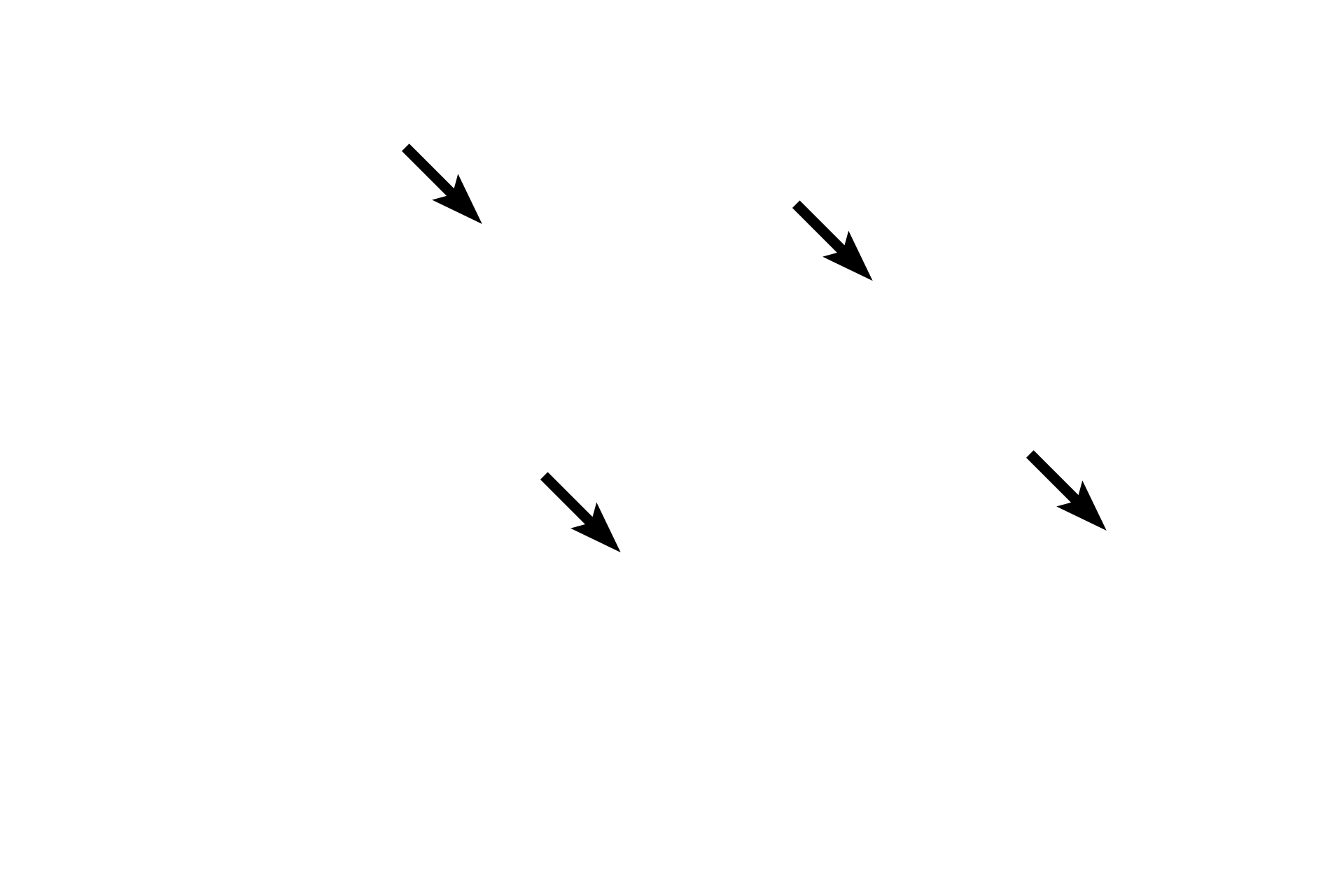 Venules <p>Vasa vasorum are small blood vessels (arterioles, capillaries, and venules) in the tunica media of larger blood vessels. Vasa vasorum are most obvious in the tunica adventitia, but are also present in the outer tunica media. These vessels supply the outer regions of the tunica media. The tunica intima and inner tunica media are supplied by diffusion from the lumen of the vessel. 400x</p>
