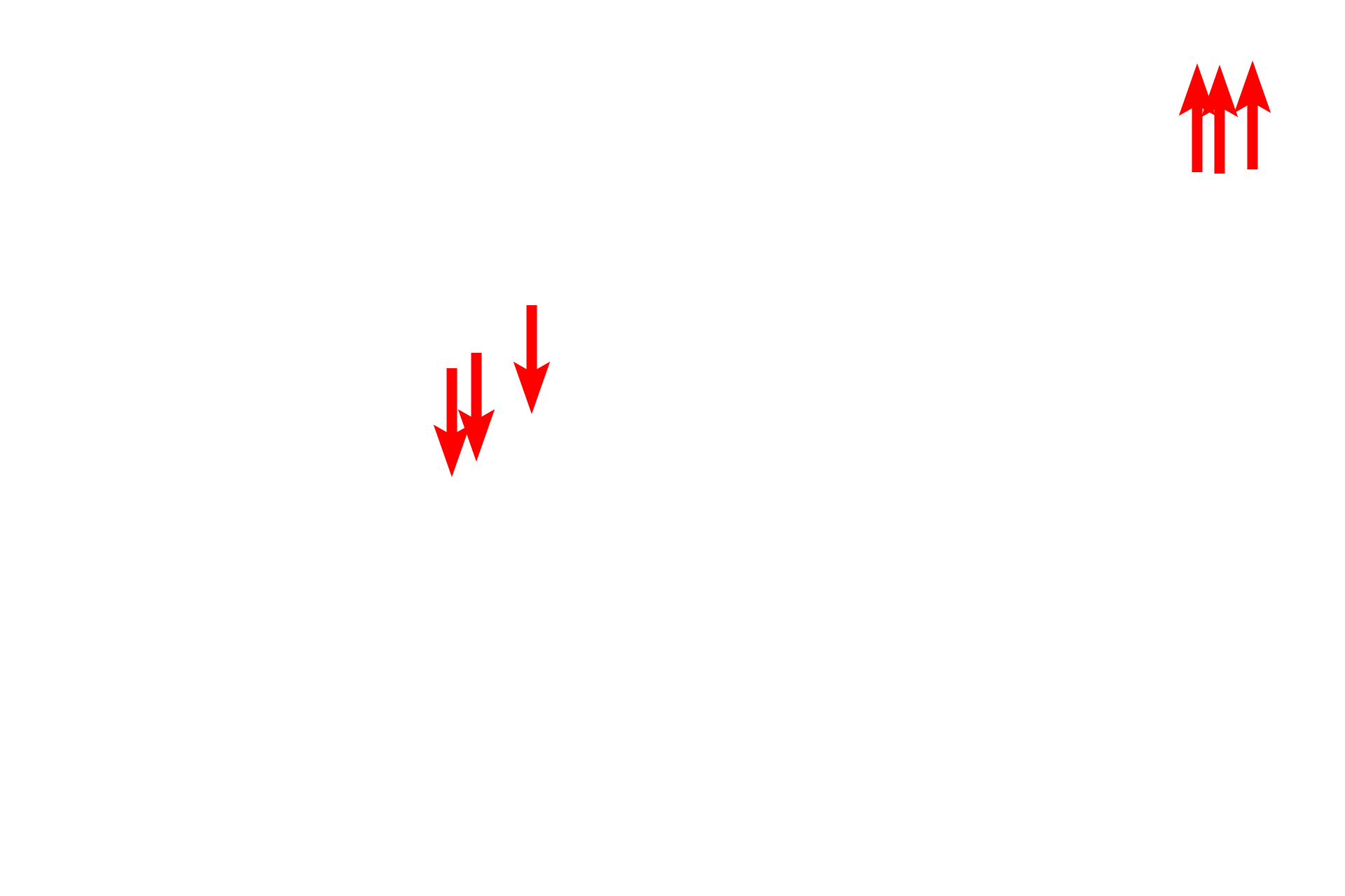  - Fenestrae <p>Fenestrated capillaries are present in locations, such as endocrine tissues, digestive system, and renal glomeruli, to facilitate transport through the capillary wall. On the left is a light micrograph of endocrine cells of the anterior pituitary gland. The electron micrograph on the right shows a pituitary cell adjacent to a fenestrated capillary. Fenestrations are only visible with the electron microscope. 1000x (left), 10,000x (right)</p>

