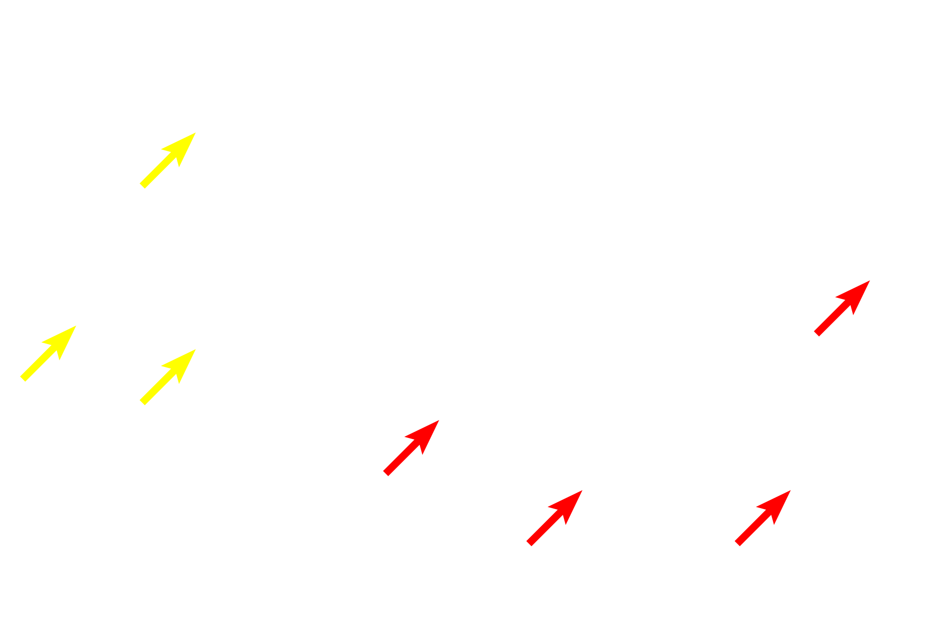  - Secretory granules <p>Fenestrated capillaries are present in locations, such as endocrine tissues, digestive system, and renal glomeruli, to facilitate transport through the capillary wall. On the left is a light micrograph of endocrine cells of the anterior pituitary gland. The electron micrograph on the right shows a pituitary cell adjacent to a fenestrated capillary. Fenestrations are only visible with the electron microscope. 1000x (left), 10,000x (right)</p>
