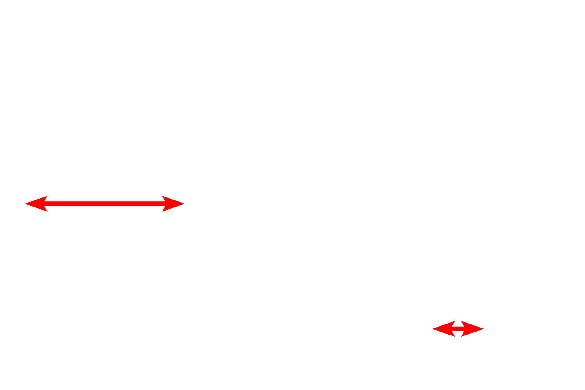  - Endothelial cell <p>The endothelium of this fenestrated capillary possesses clusters of small pores or fenestrations. Fenestrations are not open, rather, they are spanned by diaphragms derived from the glycocalyx. Diaphragms are lacking in the fenestrated capillaries of the renal glomerulus. 9000x</p>

