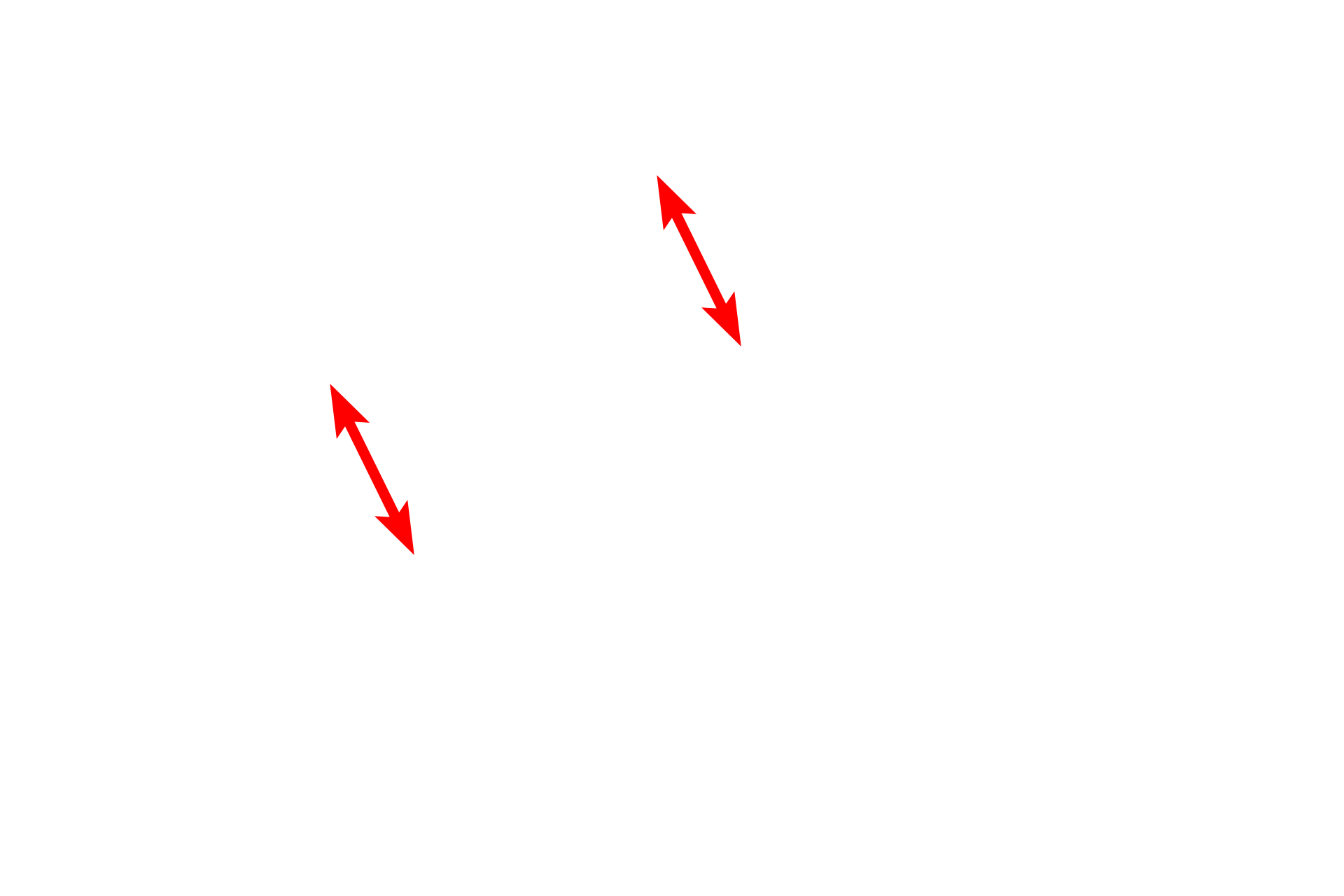  - Basal lamina of epithelial cell <p>This electron micrograph shows a capillary adjacent to the basal portion of a kidney tubule that is actively involved with water and ion movement between the urine in its lumen and the blood. The fenestrations in the endothelium facilitate this process. The tubule is composed of epithelial cells with numerous basal folds and an unusually thick basal lamina. 40,000x</p>

