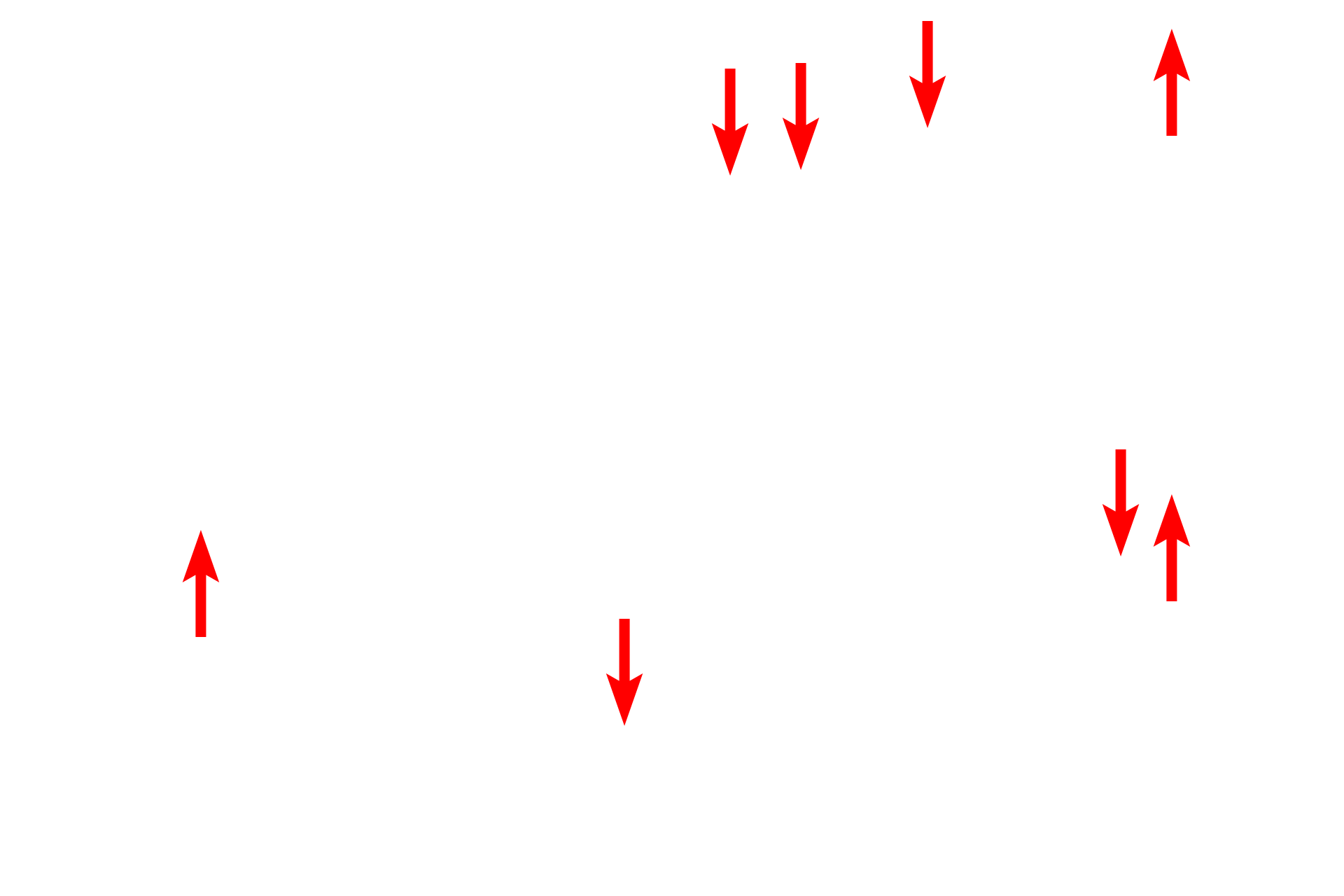  - Gaps and fenestrations <p>Endothelial cells that form sinusoids have large gaps (discontinuities) between adjacent endothelial cells as well as wide pores (fenestrations) in individual cells. These fenestrations do not have diaphragms. The basal lamina is discontinuous or absent. Shown here in the liver, these modifications allow for direct access of blood plasma to the space beneath the endothelium, into which hepatocytes project microvilli. 30,000x</p>
