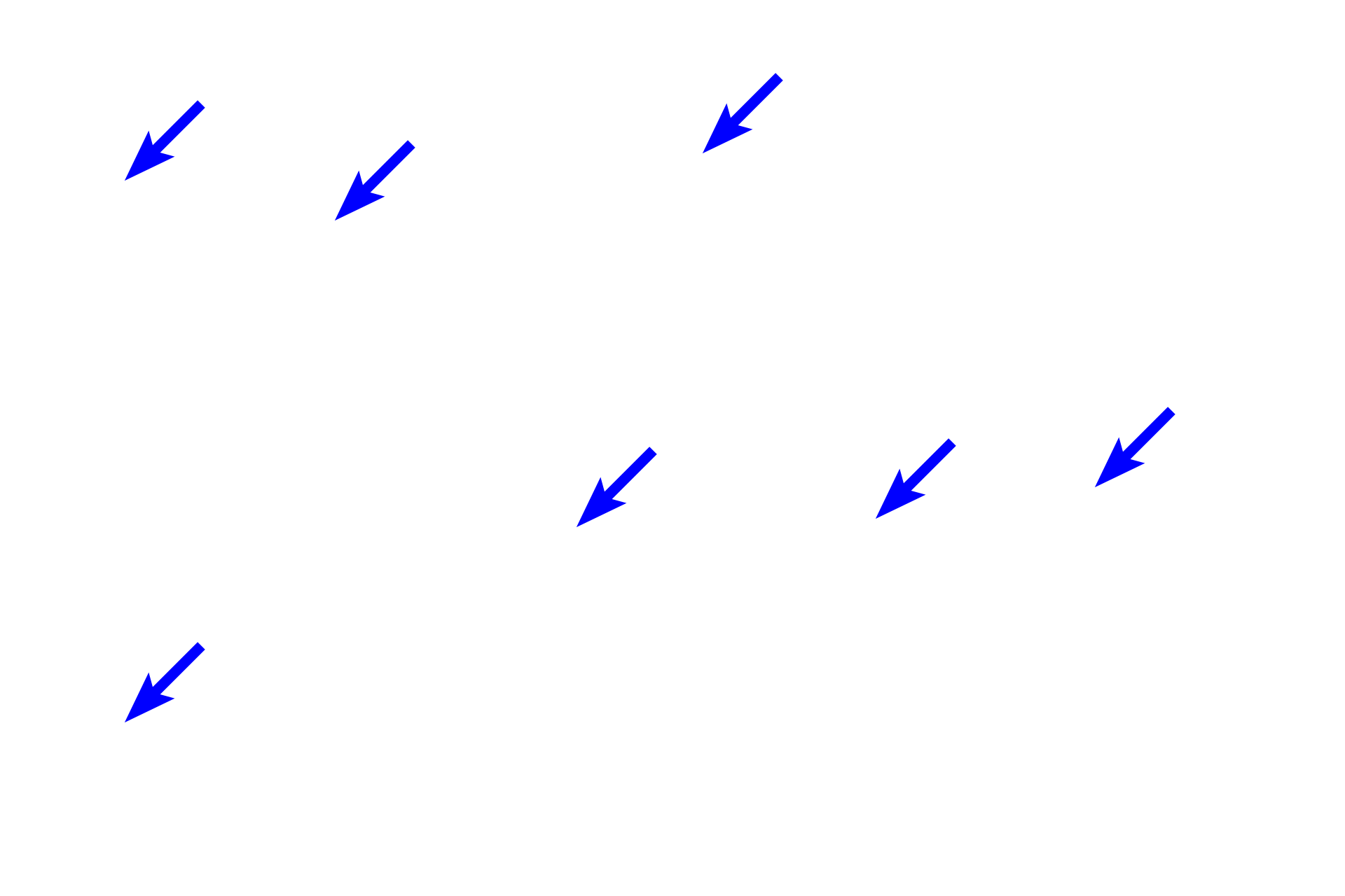 Capillaries > <p>Tissues with high metabolic requirements like heart muscle shown on the left, have a large number of capillaries. In contrast, tissues with low activity, like the connective tissue seen on the right, have fewer capillaries.</p>
