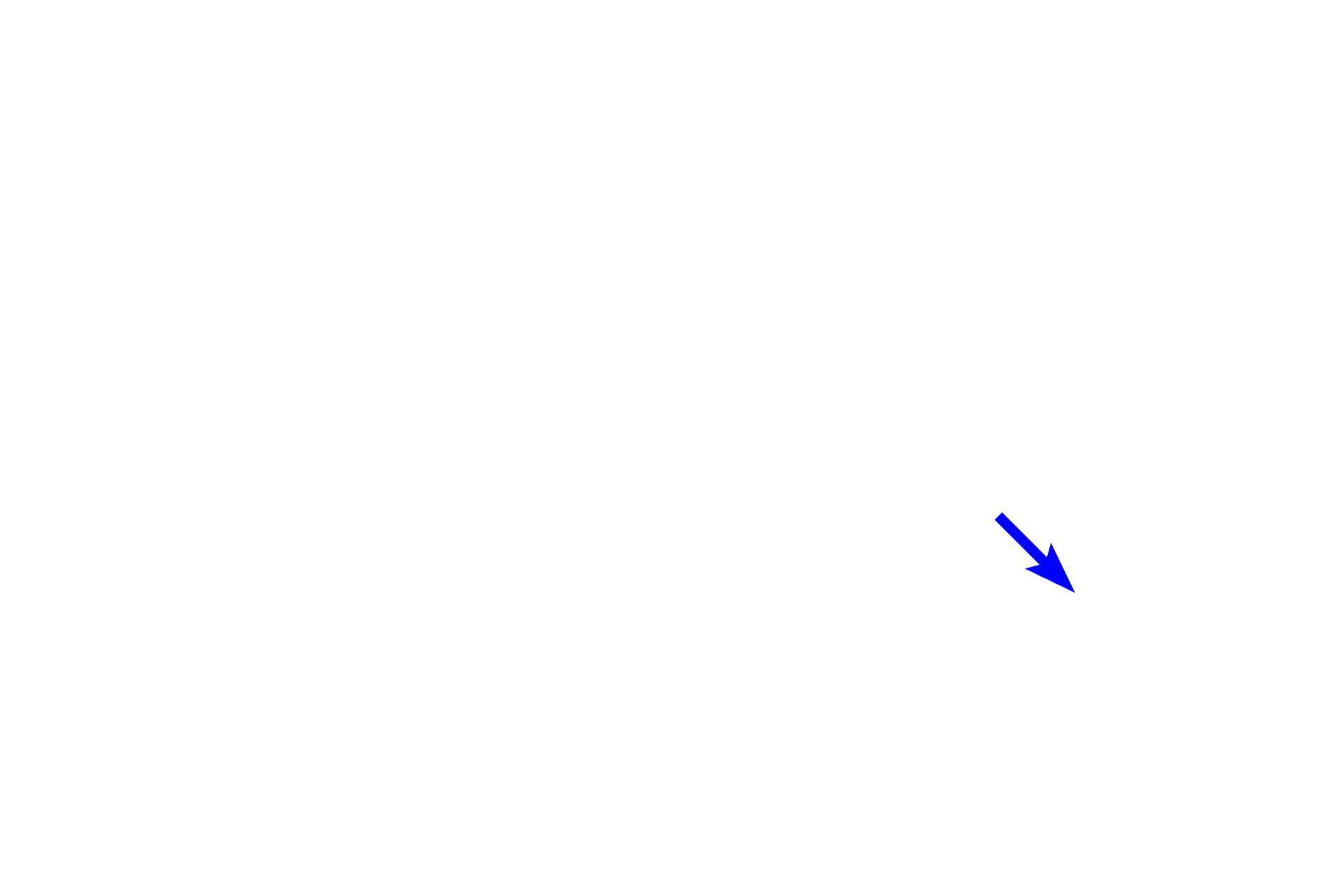 Nerve <p>Capillaries are the smallest blood vessels and are composed of a single layer of endothelial cells and their basal laminae. Connective tissue cells with contractile proteins, called pericytes, may surround a capillary. Tissues with high metabolic requirements like heart muscle have a large number of capillaries. Capillaries are so narrow that blood cells must pass through in single file.1000x, 1000x</p>
