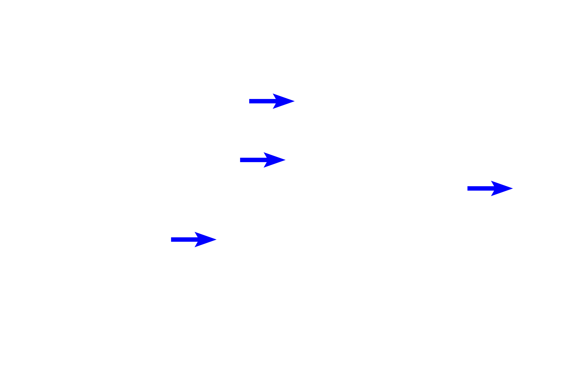 Capillaries <p>The diameter of a continuous capillary is about equal to the width of a single red blood cell. Usually only one endothelial cell nucleus is visible in cross section, but sometimes two are visible. The cytoplasm of these cells is greatly attenuated and no fenestrations are present. A capillary has no additional tunics, but a pericyte may lie within the basal lamina of the endothelium. 1000x</p>
