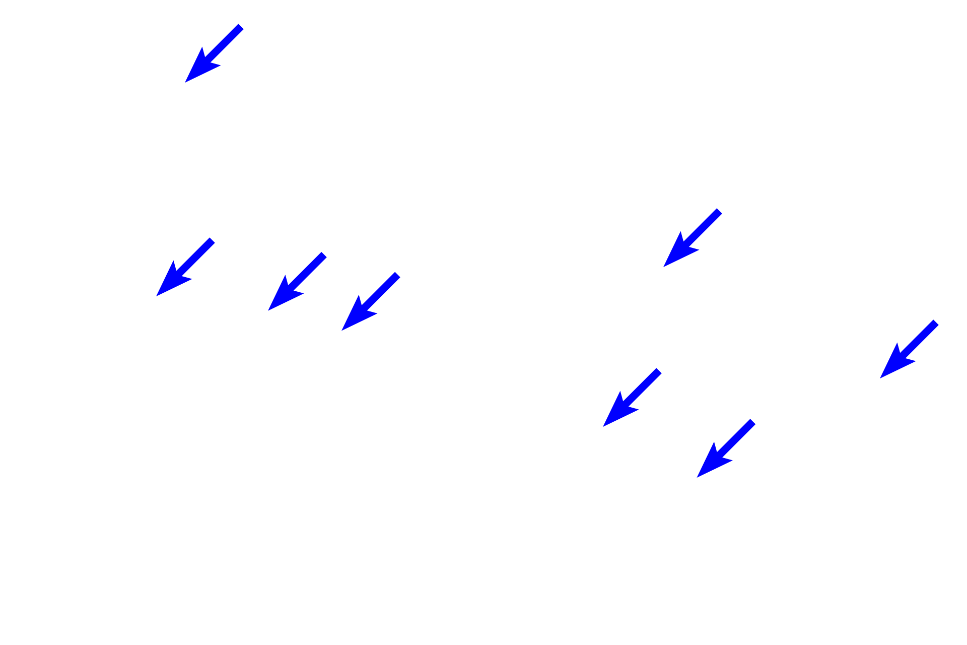  - Endothelial cell nuclei <p>These images show continuous capillaries in highly vascularized adipose tissue. Capillaries branch extensively, insinuating among the adipocytes forming expansive capillary beds. Because of their narrow lumen, capillaries only allow erythrocytes to pass through in single file. Capillaries consists of only endothelial cells and their basal laminae. Hypodermis of the skin 400x</p>
