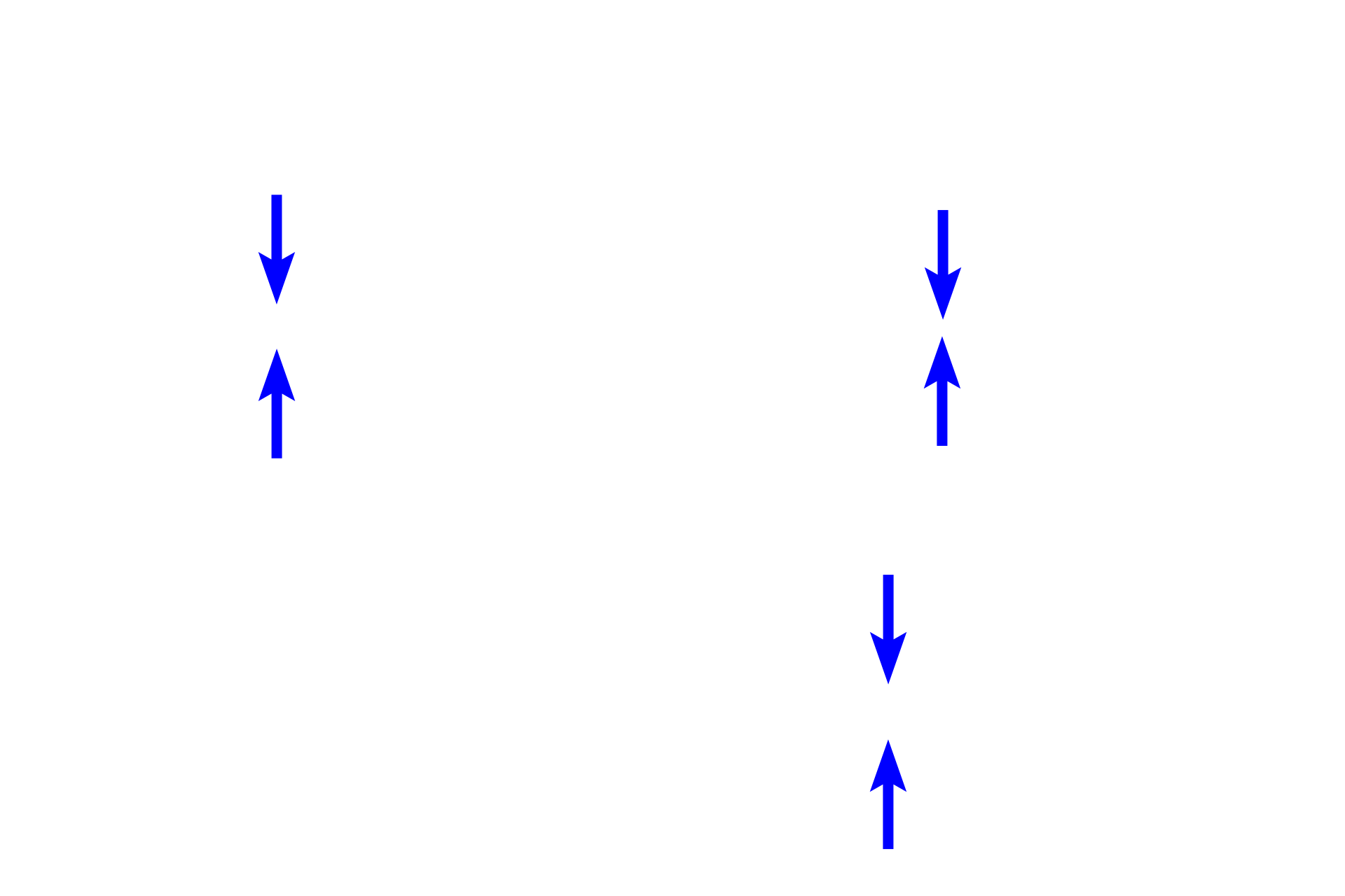 Tunica media > <p>The tunica media is the middle layer and contains circularly arranged smooth muscle cells. These cells are the source of the connective tissue components of tunica media, including fenestrated elastic sheets in elastic arteries.</p>
