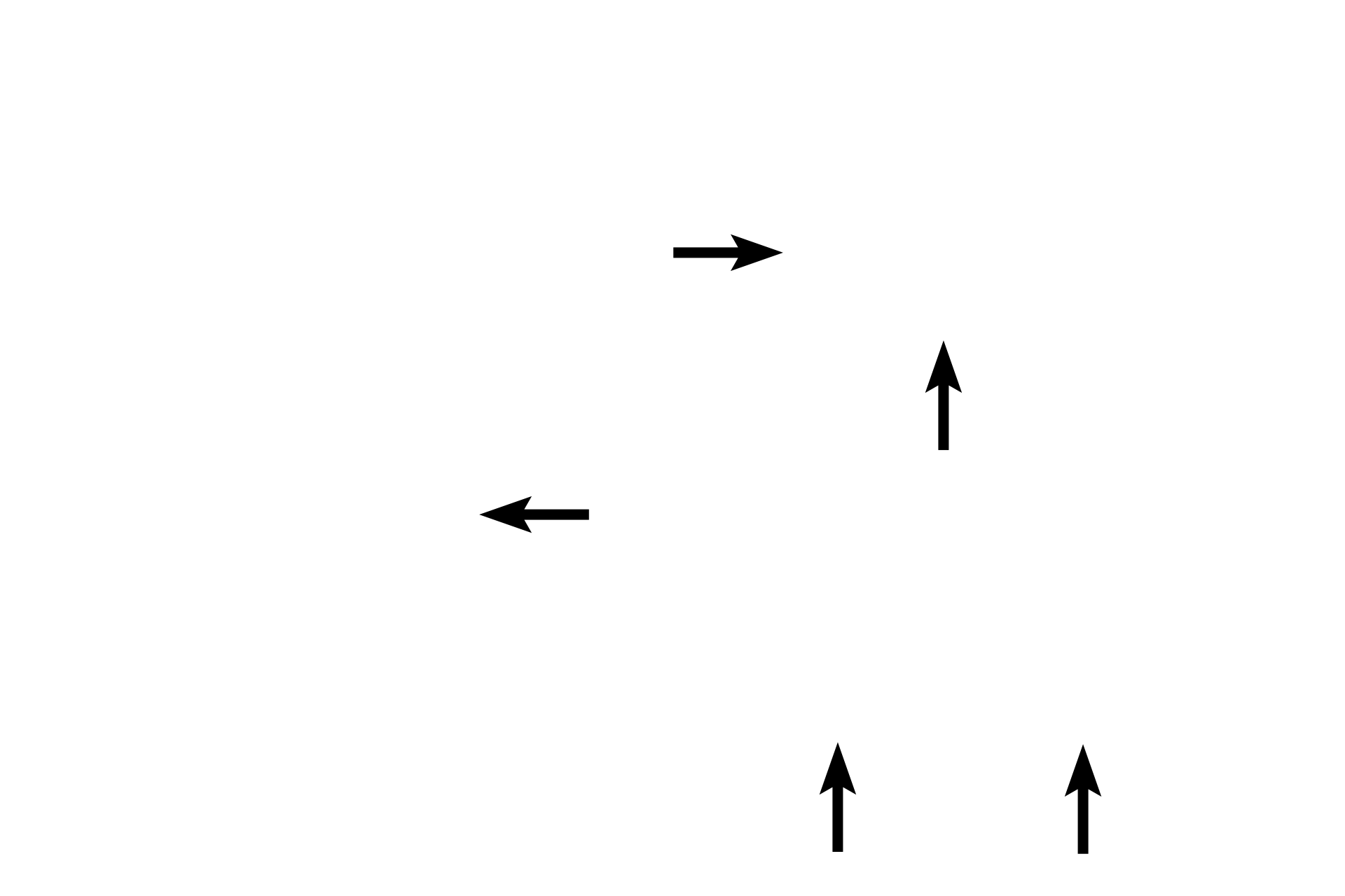 External elastic lamina > <p>The external elastic lamina is only present in medium or muscular arteries and consists of a layer of fenestrated elastic sheets at the junction of the tunica media and tunica adventitia. This layer is also referred to as external elastic lamellae.</p>
