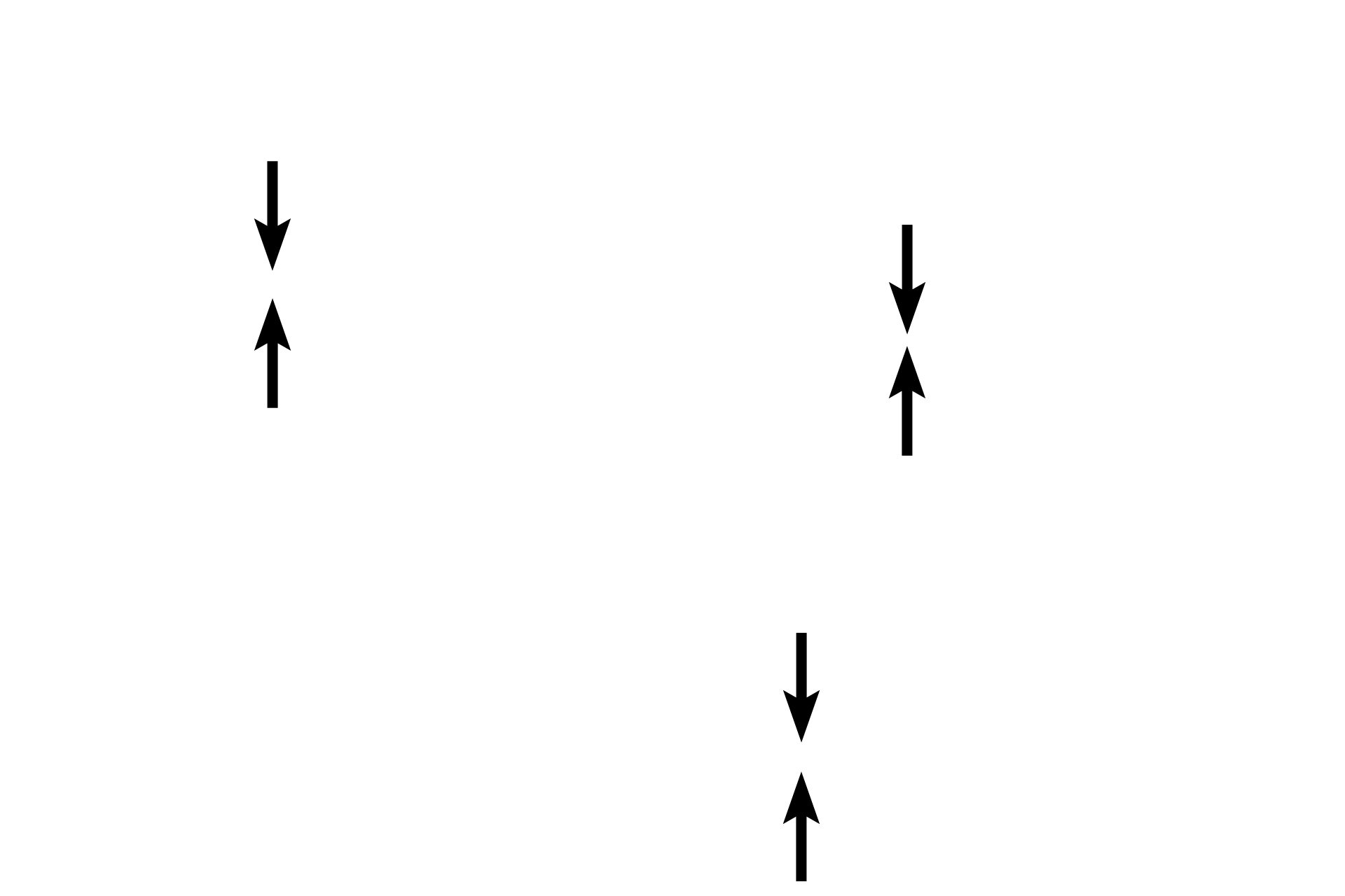 Tunica adventitia > <p>Tunica adventitia is the outermost tunic of blood vessels. This layer is composed of connective tissue, however, in the largest veins, it also contains longitudinally-oriented smooth muscle cells. The connective tissue of tunica adventitia blends imperceptibly with surrounding connective tissue.</p>
