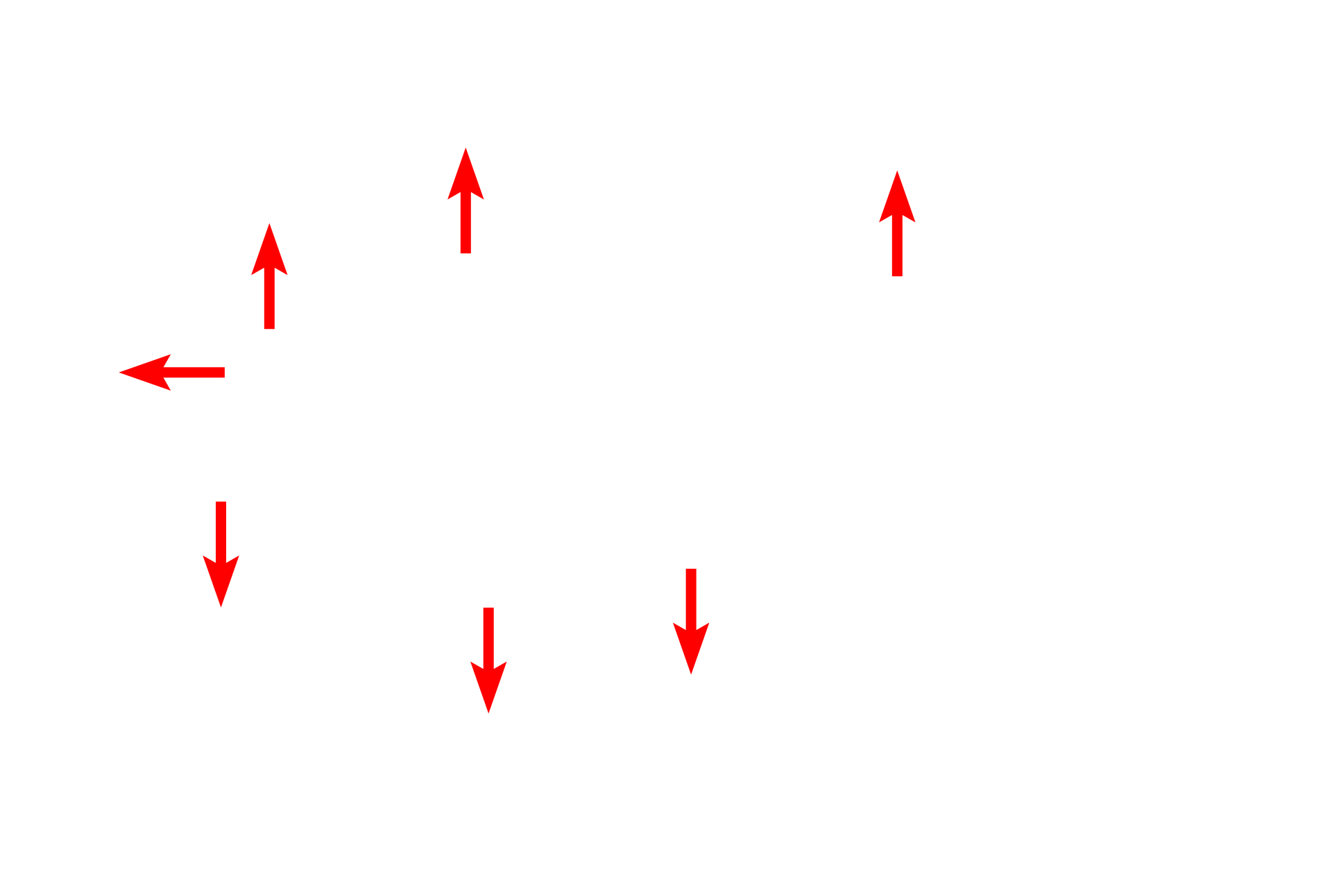 Sites of endothelial cell contact <p>The characteristics of a venule can be identified in this electron micrograph: a wide lumen surrounded by a layer of endothelial cells and no additional tunics.  While capillaries and small venules have a similar appearance, the wall of the venule is composed of multiple endothelial cells and possesses a wider lumen.  2500x</p>
