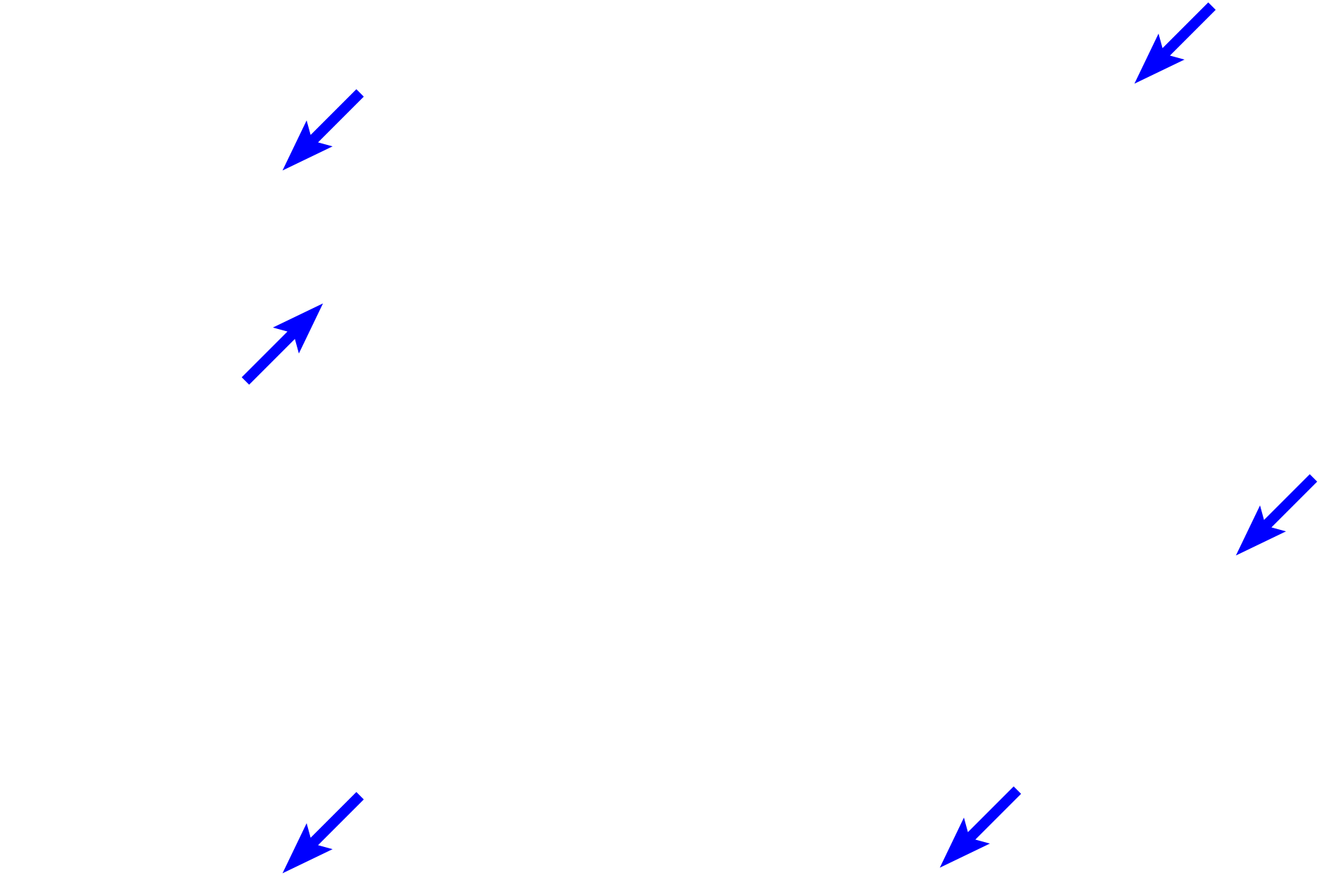 Adrenal capsule <p>The adrenal gland is a triangular-shaped organ situated at the superior pole of each kidney.  Each gland is composed of two subdivisions having separate embryological origins:  an outer cortex, the major source of steroid hormones, and an inner medulla, releasing catecholamines.  A dense connective tissue capsule surrounds the organ.  5x, 40x</p>
