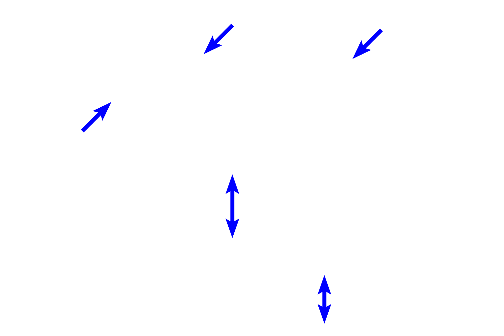 Cortex <p>The adrenal gland is a triangular-shaped organ situated at the superior pole of each kidney.  Each gland is composed of two subdivisions having separate embryological origins:  an outer cortex, the major source of steroid hormones, and an inner medulla, releasing catecholamines.  A dense connective tissue capsule surrounds the organ.  5x, 40x</p>
