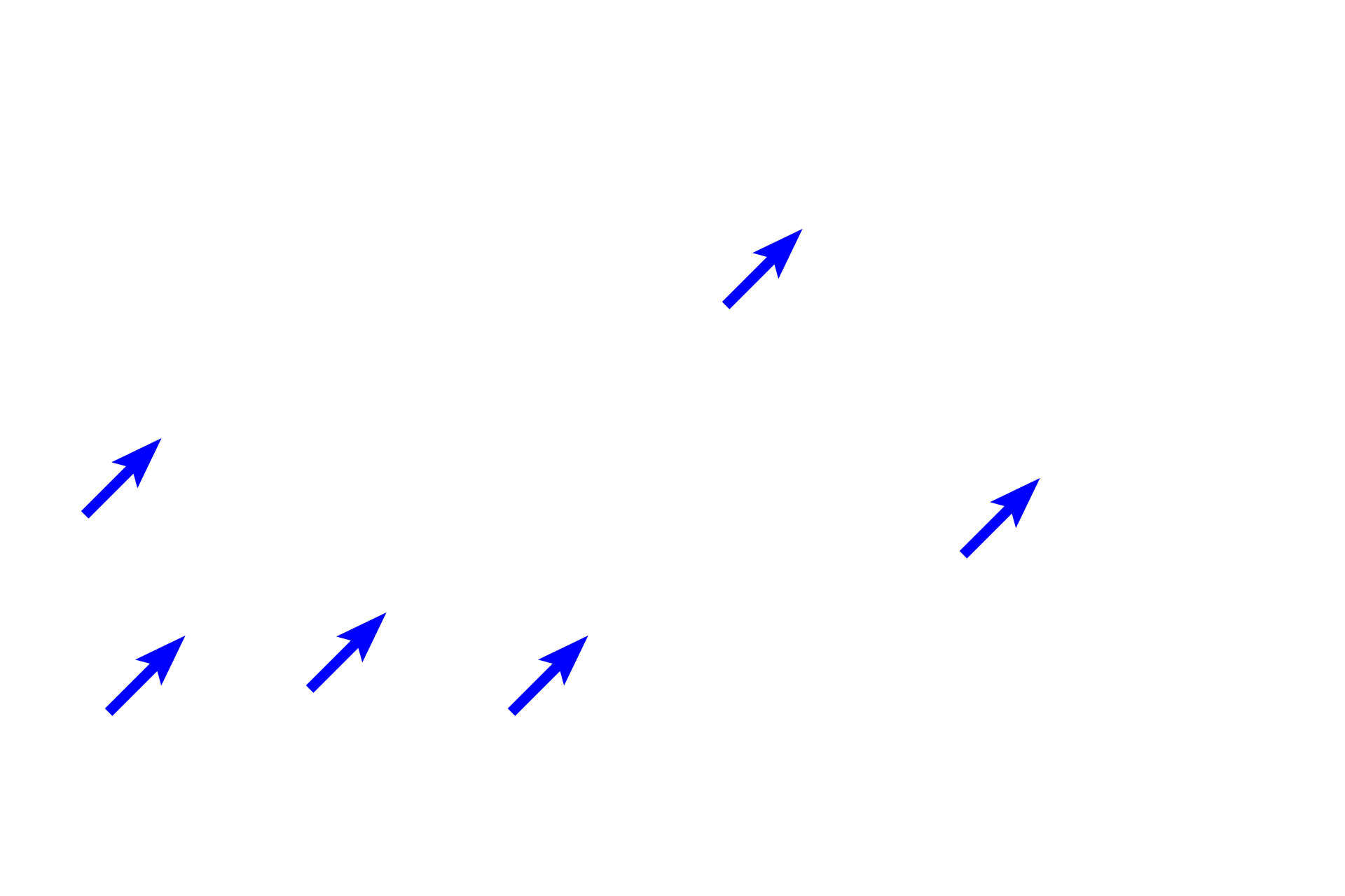 Enteroendocrine cells <p>Enteroendocrine cells are members of the diffuse neuroendocrine system (DNES) of cells. They are located at the bases of gastric and intestinal glands, where they intercalate with the exocrine gland cells. The secretory granules of DNES cells are mostly directed away from the lumen of the gland, i.e.,toward the basement membrane surrounding the gland and toward the capillaries which transport their secretions. 1000x.</p>
