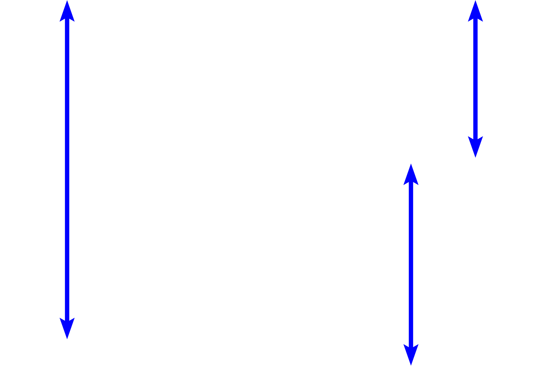 Seminiferous tubules <p>Clusters of steroid-secreting cells (called Leydig cells) are located between the seminiferous tubules of the testis, where they secrete androgens.  The cytoplasm of these cells is filled with the lipid droplets typical of steroid-secreting cells.  The ovary in the female also contains clusters of steroid-secreting cells.  400x</p>
