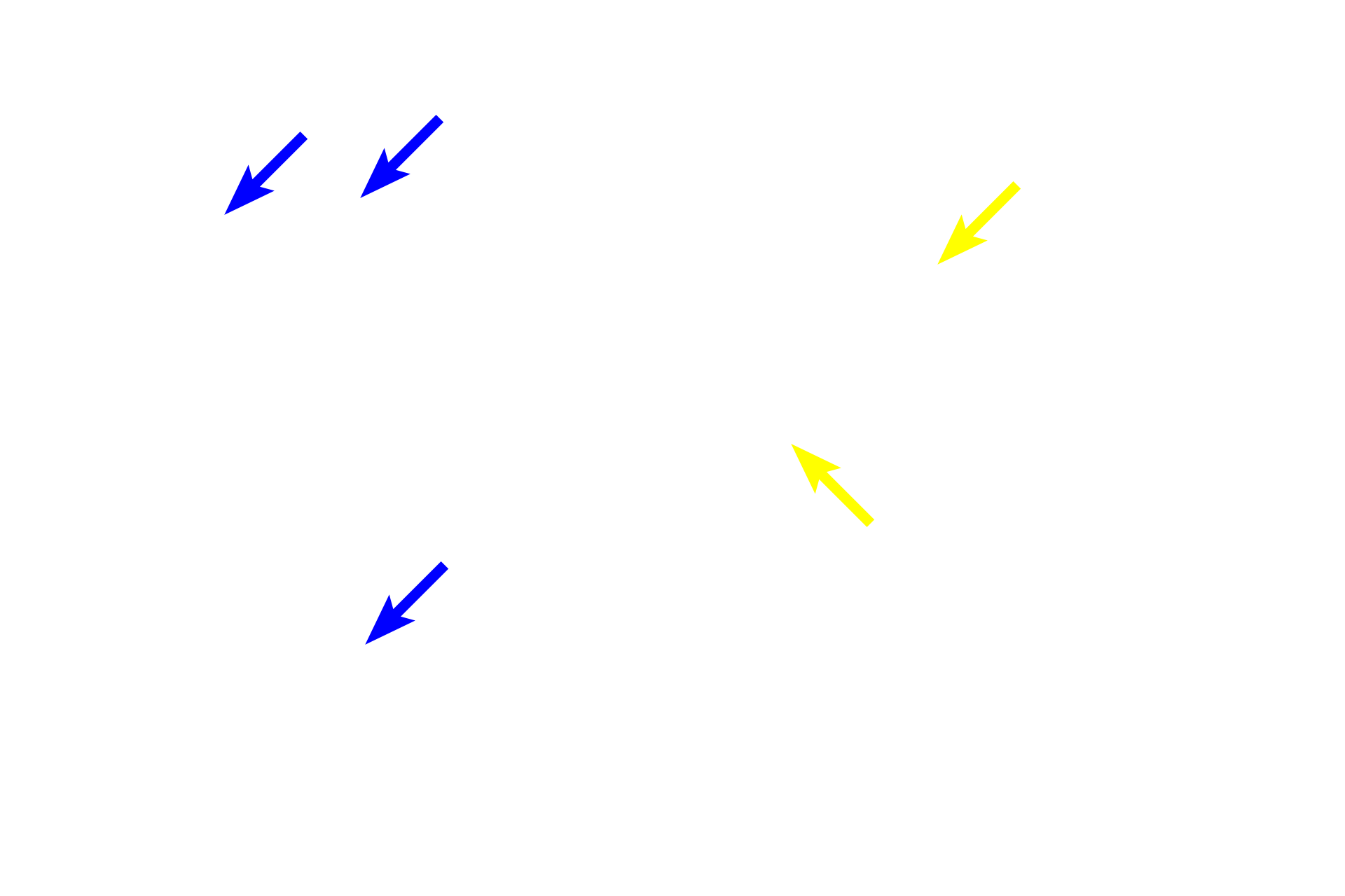 Capillaries <p>Islets of Langerhans are clusters of peptide-producing cells scattered throughout the exocrine pancreas.  With a special stain (on right), two subclasses of islet cells can be identified.  Glucagon is produced by alpha cells (red cells) and insulin, by beta cells (blue cells).  Delta cells, secreting somatostatin, cannot be identified here.  400x, 1000x</p>

