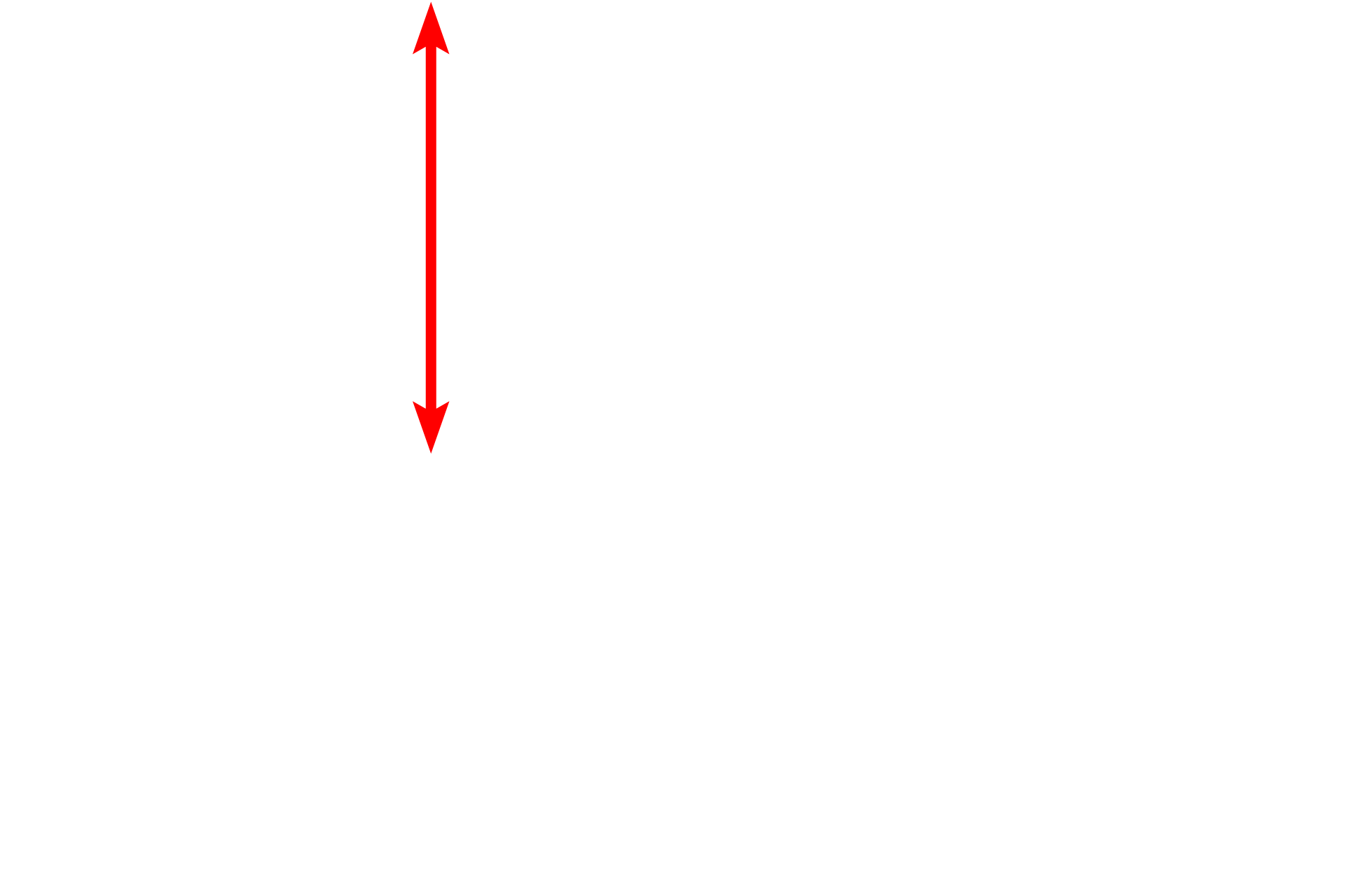 Capillary lumen <p>Clusters of endocrine cells and endocrine organs are supplied by fenestrated capillaries, which greatly facilitate the entry of hormone into the blood stream.  In endocrine organs these fenestrations have a nonmembranous diaphragm across the opening.  Endocrine pancreas  28,000x</p>
