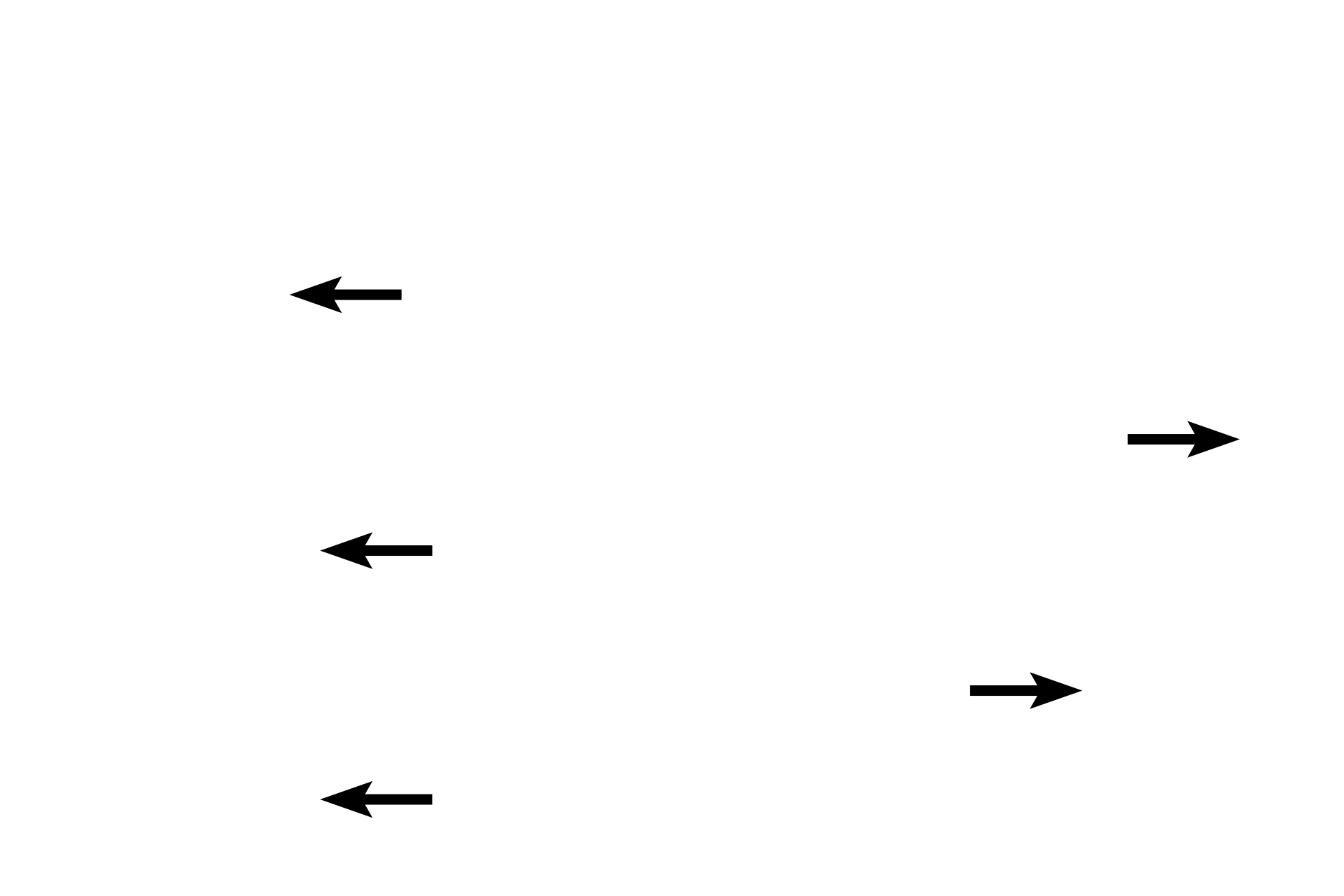 Connective tissue septa > <p>Connective tissue septa originate from the pia and project into the gland, carrying with them blood vessels and sympathetic nerve fibers.  Capillaries in the pineal are fenestrated, like those found in other endocrine organs.</p>
