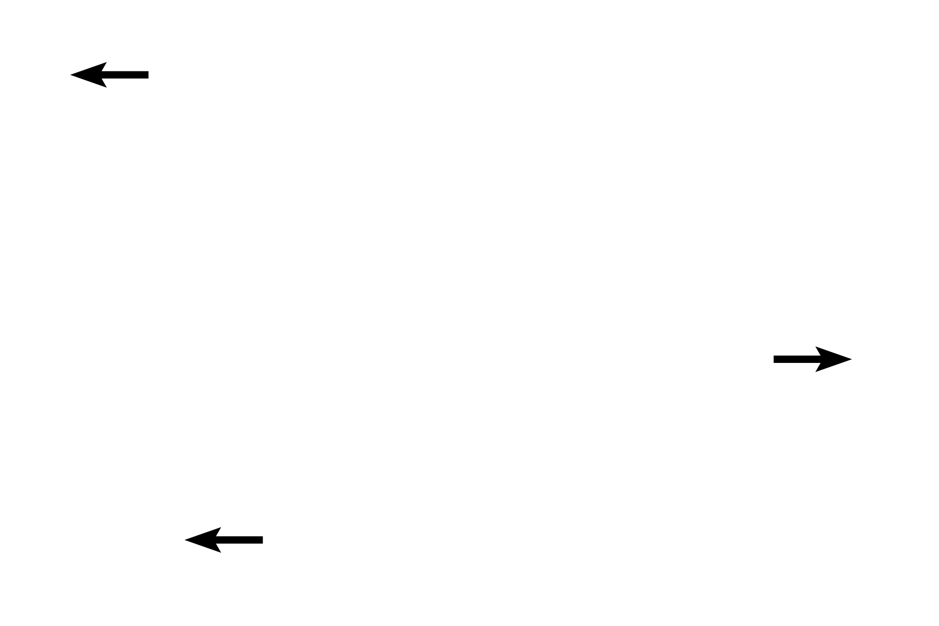 Blood  vessels <p>Connective tissue septa originate from the pia and project into the gland, carrying with them blood vessels and sympathetic nerve fibers.  Capillaries in the pineal are fenestrated, like those found in other endocrine organs.</p>
