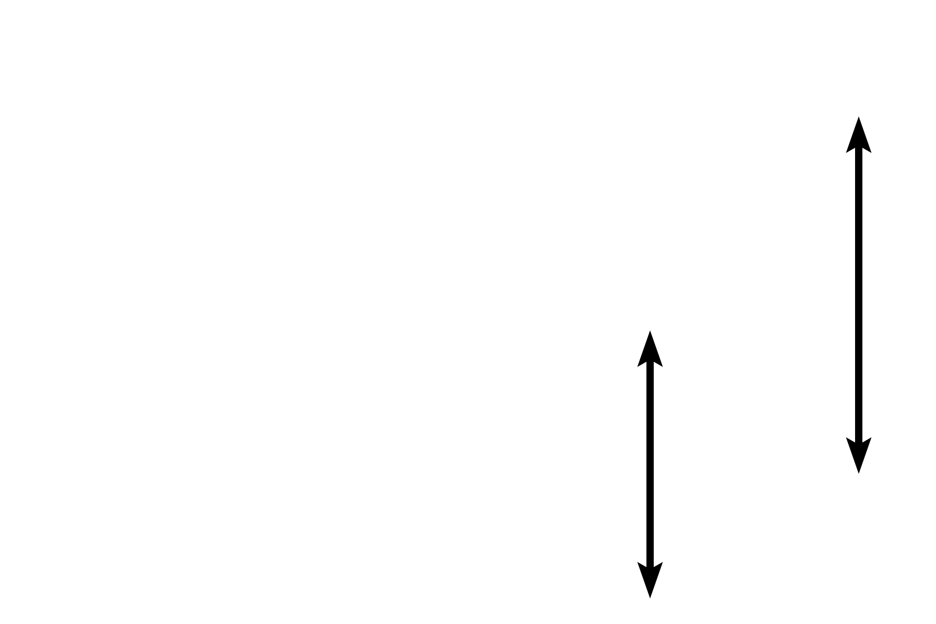 Cystic remnants of Rathke's pouch <p>The interface of pars nervosa and pars intermedia shows remnants of Rathke’s pouch. In this section, the colloid of the cysts was lost in tissue processing.  Basophils of the pars intermedia, lying adjacent to the cysts, are adrenocorticotropes.  Visible in the pars nervosa are thin, unmyelinated hypothalamic axons, which end in variously-sized Herring bodies.  1000x</p>
