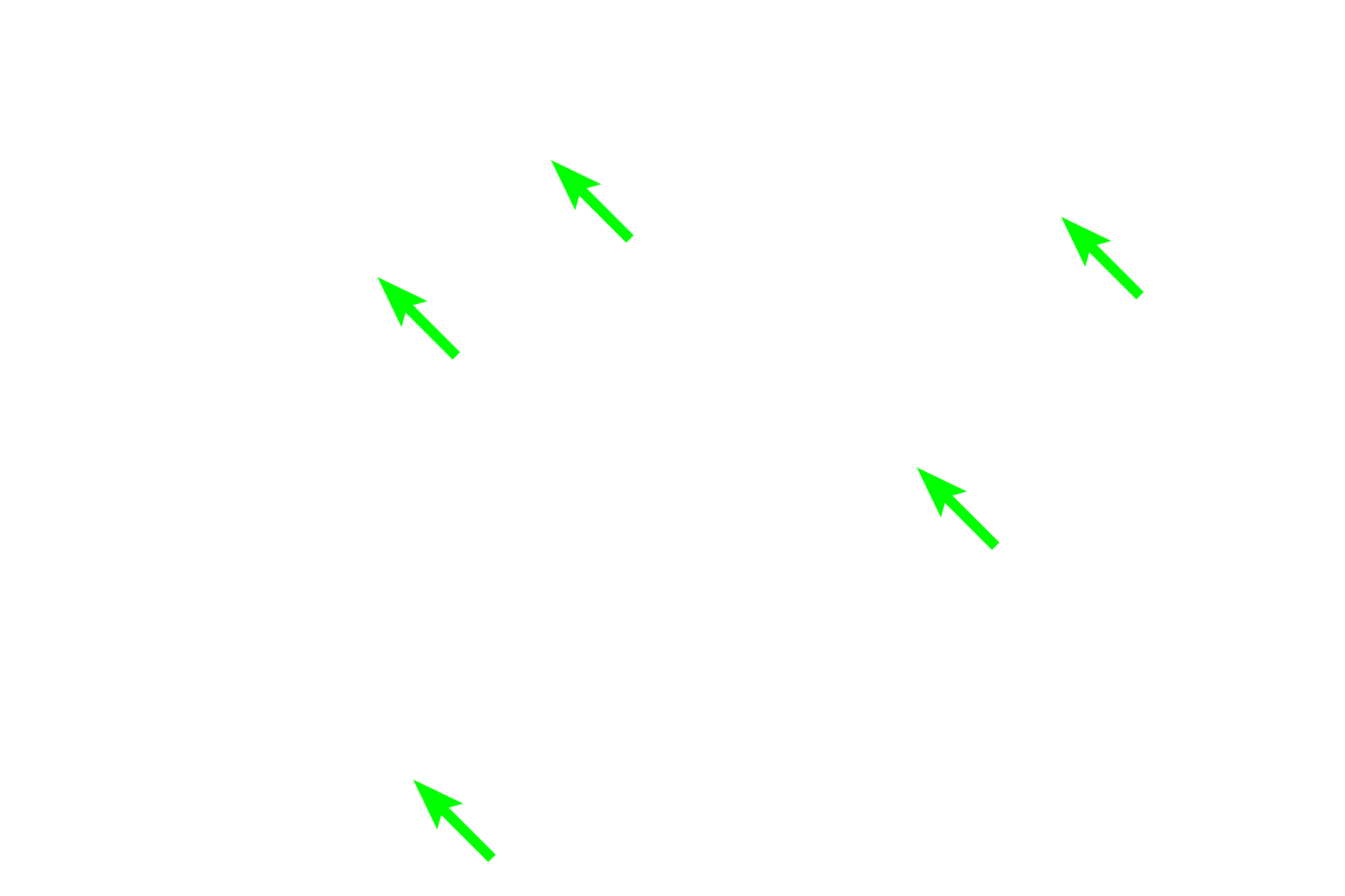 Pituicytes > <p>Pituicytes are astrocyte-like cells in the pars nervosa and infundibulum.  Pituicytes support the tissue and associate with the Herring bodies.</p>
