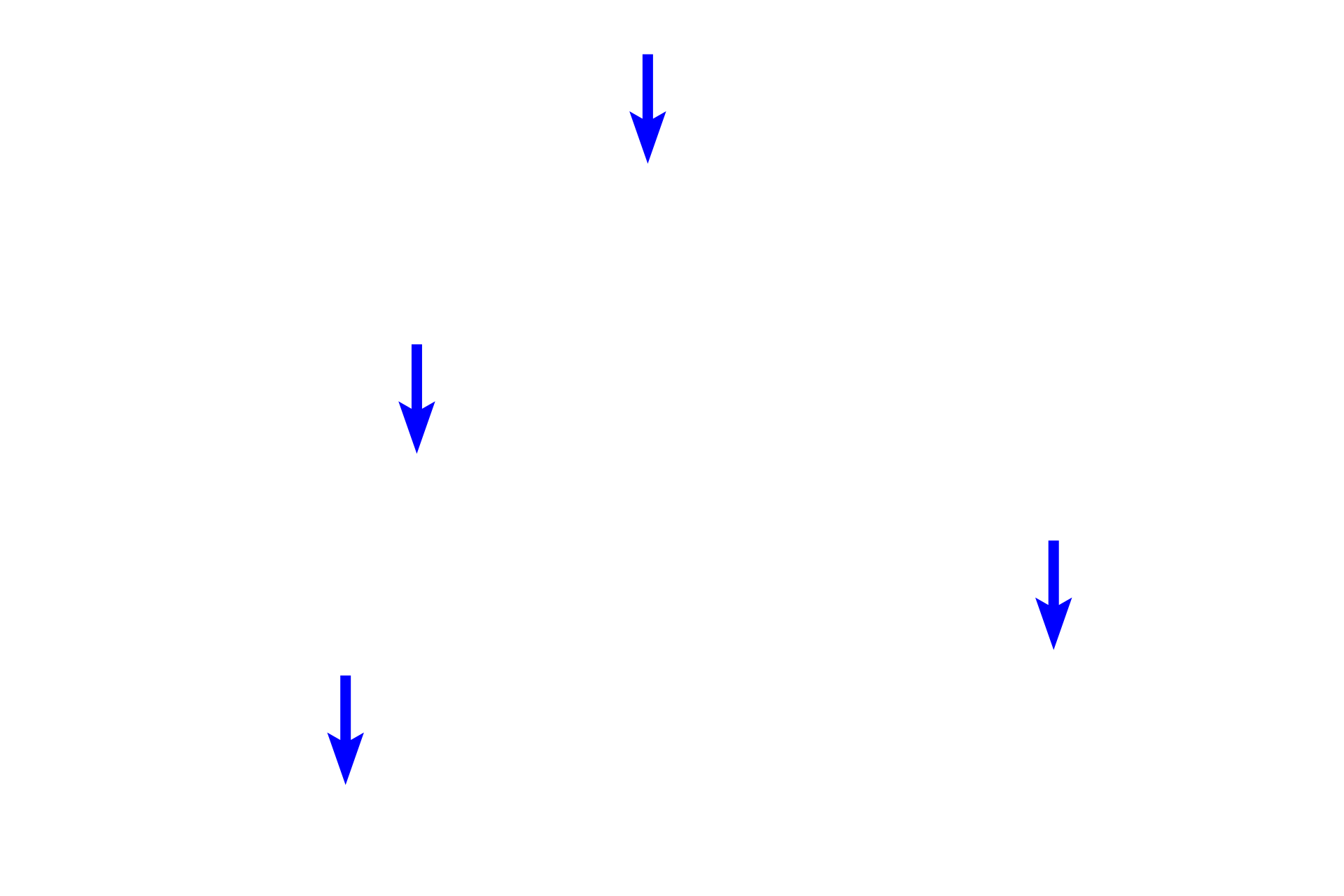 Axons <p>The main hormones released from the pars nervosa are oxytocin and vasopressin, actually synthesized by paraventricular and supraoptic neurons located in the hypothalamus.  Hormone-containing granules are transported down the axons of these neurons and accumulate in their expanded terminals called Herring bodies.  Pituicytes surround Herring bodies and assist hormone storage and release.  1000x</p>
