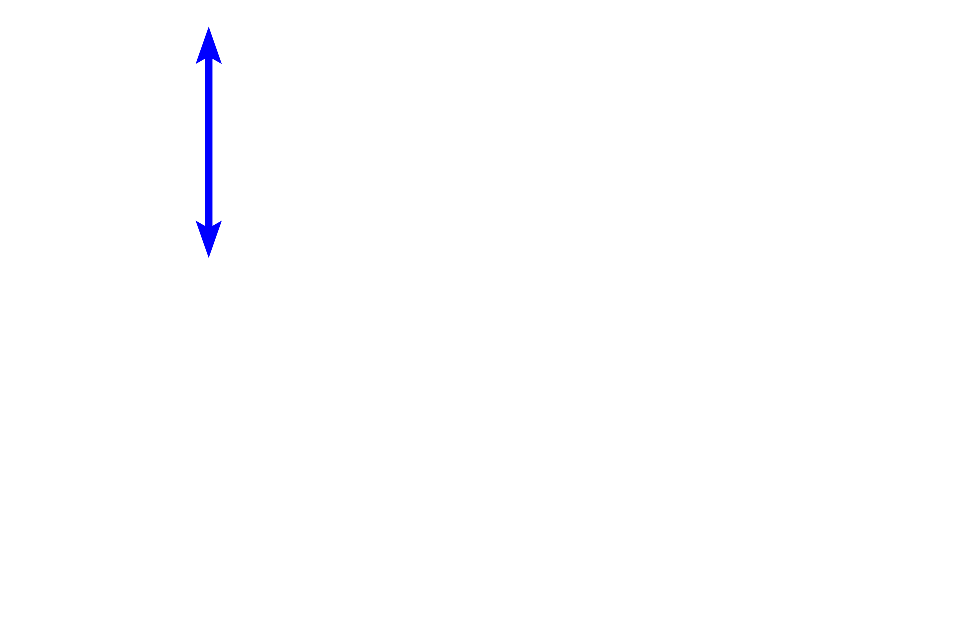 Capillary <p>The main hormones released from the pars nervosa are oxytocin and vasopressin, actually synthesized by paraventricular and supraoptic neurons located in the hypothalamus.  Hormone-containing granules are transported down the axons of these neurons and accumulate in their expanded terminals called Herring bodies.  Pituicytes surround Herring bodies and assist hormone storage and release.  1000x</p>
