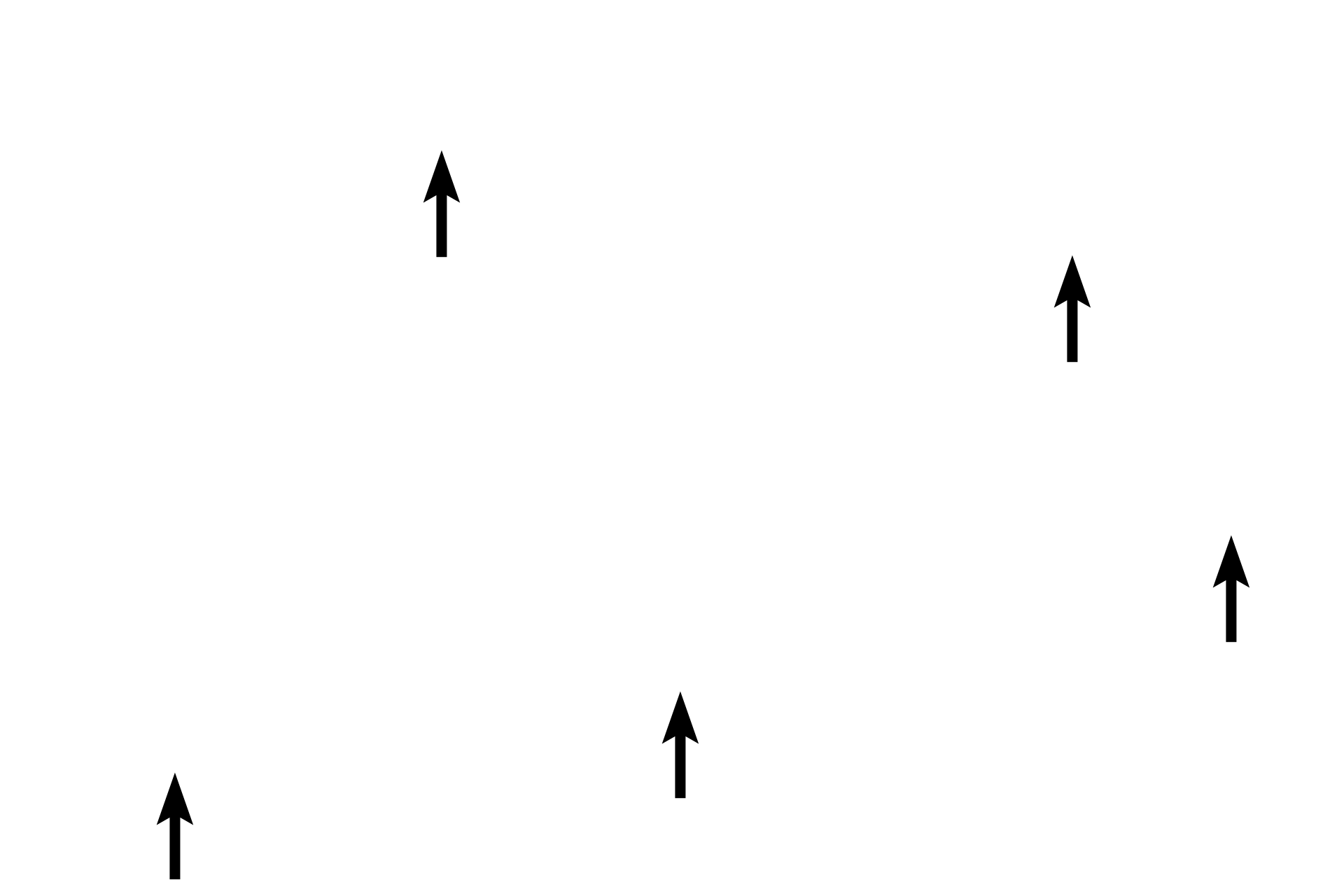 Stroma > <p>The stroma is composed of loose connective tissue that surrounds and supports the endocrine elements and the blood vessels.</p>
