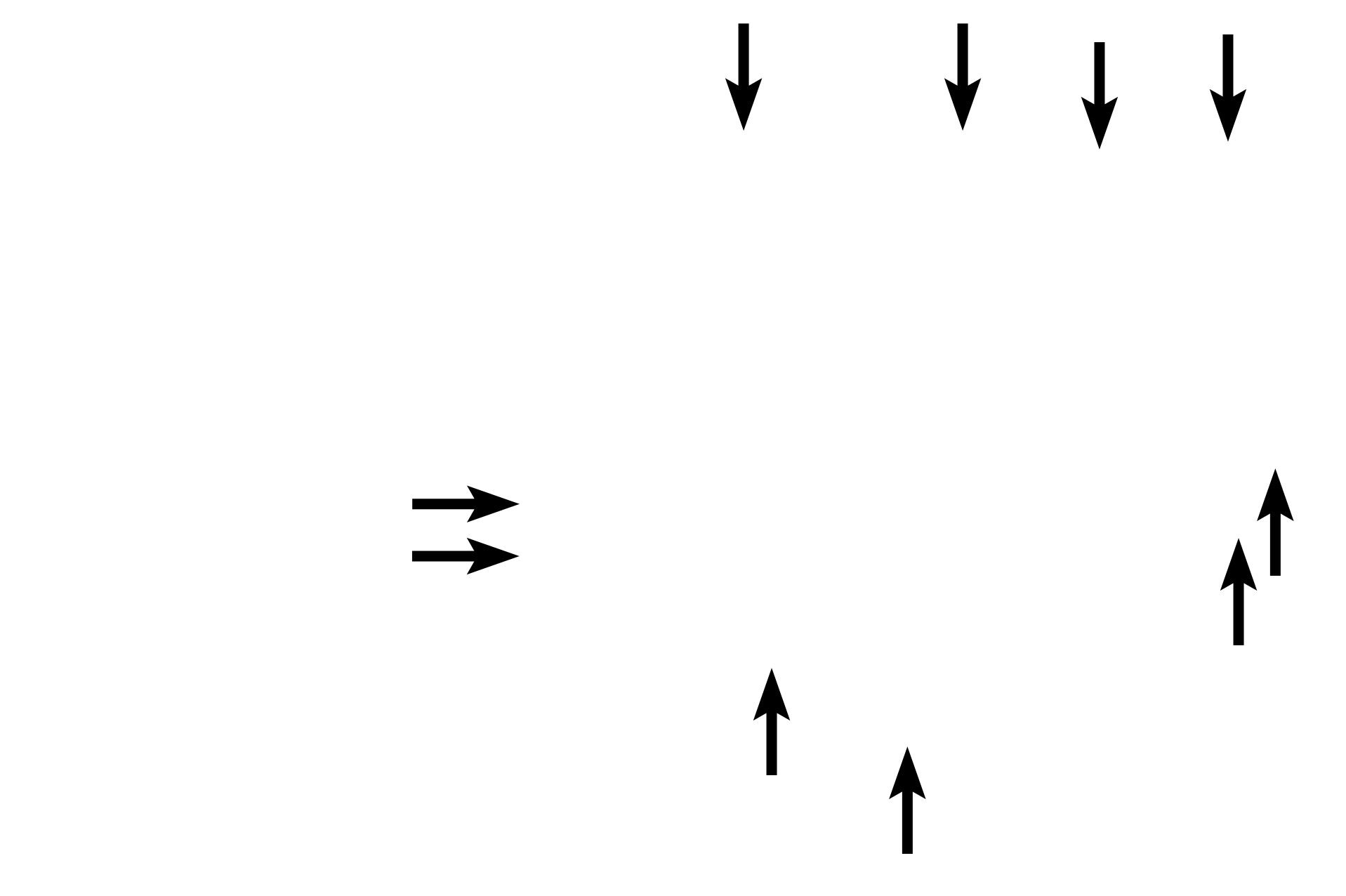 Capillaries > <p>Numerous capillaries are present in the wall of the follicle to receive the T3 and T4 hormones released by the follicle cells. Additionally, these vessels transport thyroid stimulating hormone released by throtropes in the pituitary to regulate follicle cell activity.</p>
