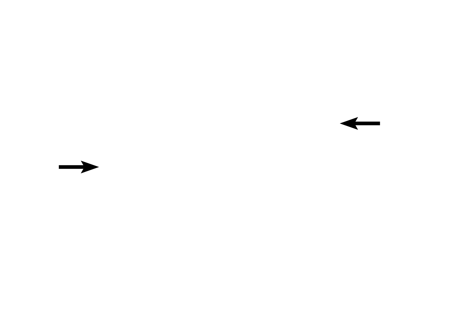Cytoplasm <p>Monocytes are large agranulocytes with a nucleus that is usually horseshoe shaped and eccentrically located. The cytoplasm is abundant, blue-grey and grainy. Monocytes only become active after they migrate into the connective tissues, where they differentiate into phagocytic cells, such as macrophages, osteoclasts and Kupffer cells. 1000x</p>
