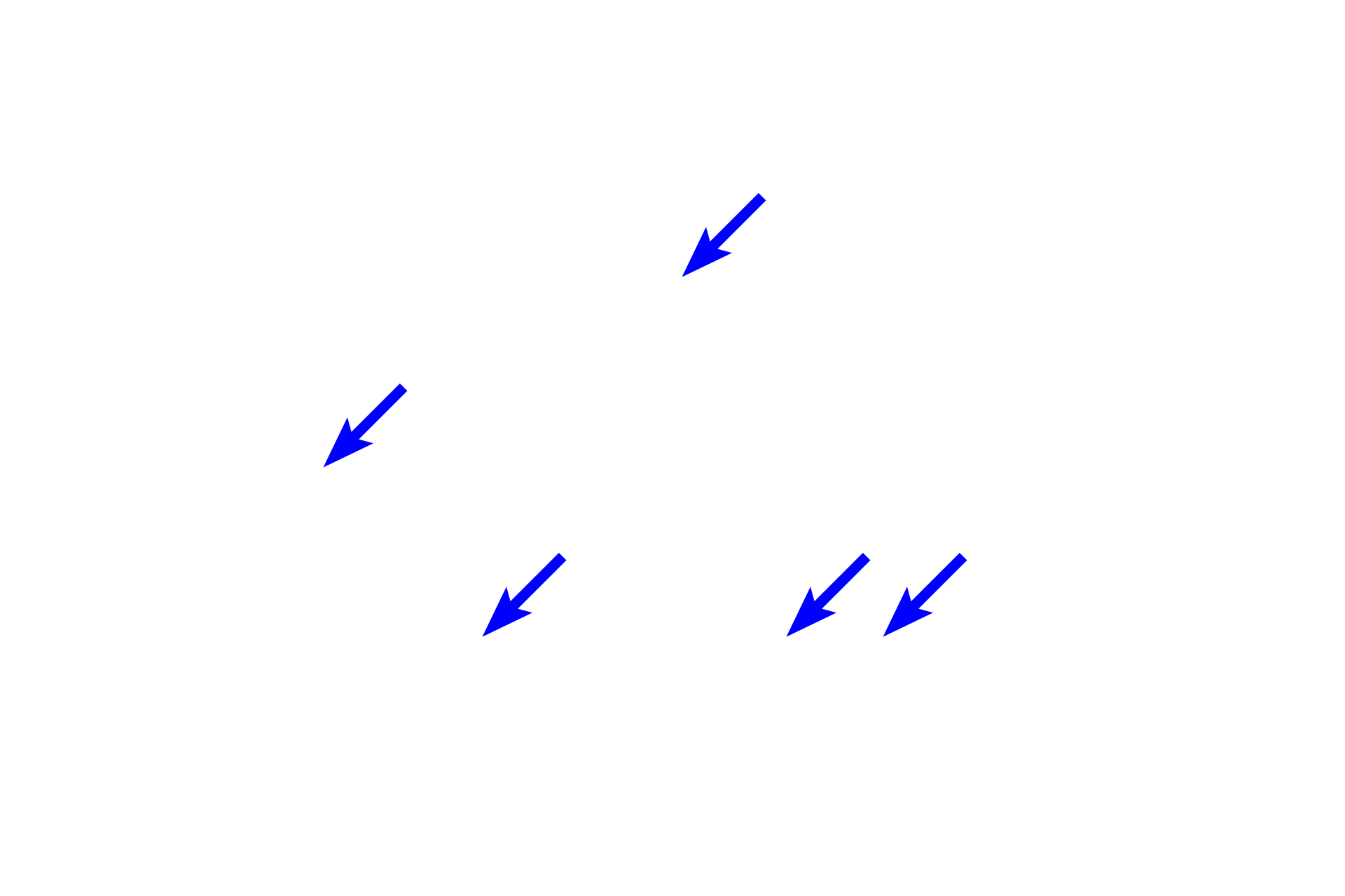  - Hemopoietic tissue > <p>Hemopoietic tissue consists of multipotential stem cells and their progeny that are formed as the stem cells self-duplicate, differentiate and divide to form mature blood cells and platelets.  These processes maintain a constant number of hemopoietic cells in the marrow while simultaneously releasing millions of mature, or nearly mature, blood cells into the circulatory system each day.</p>
