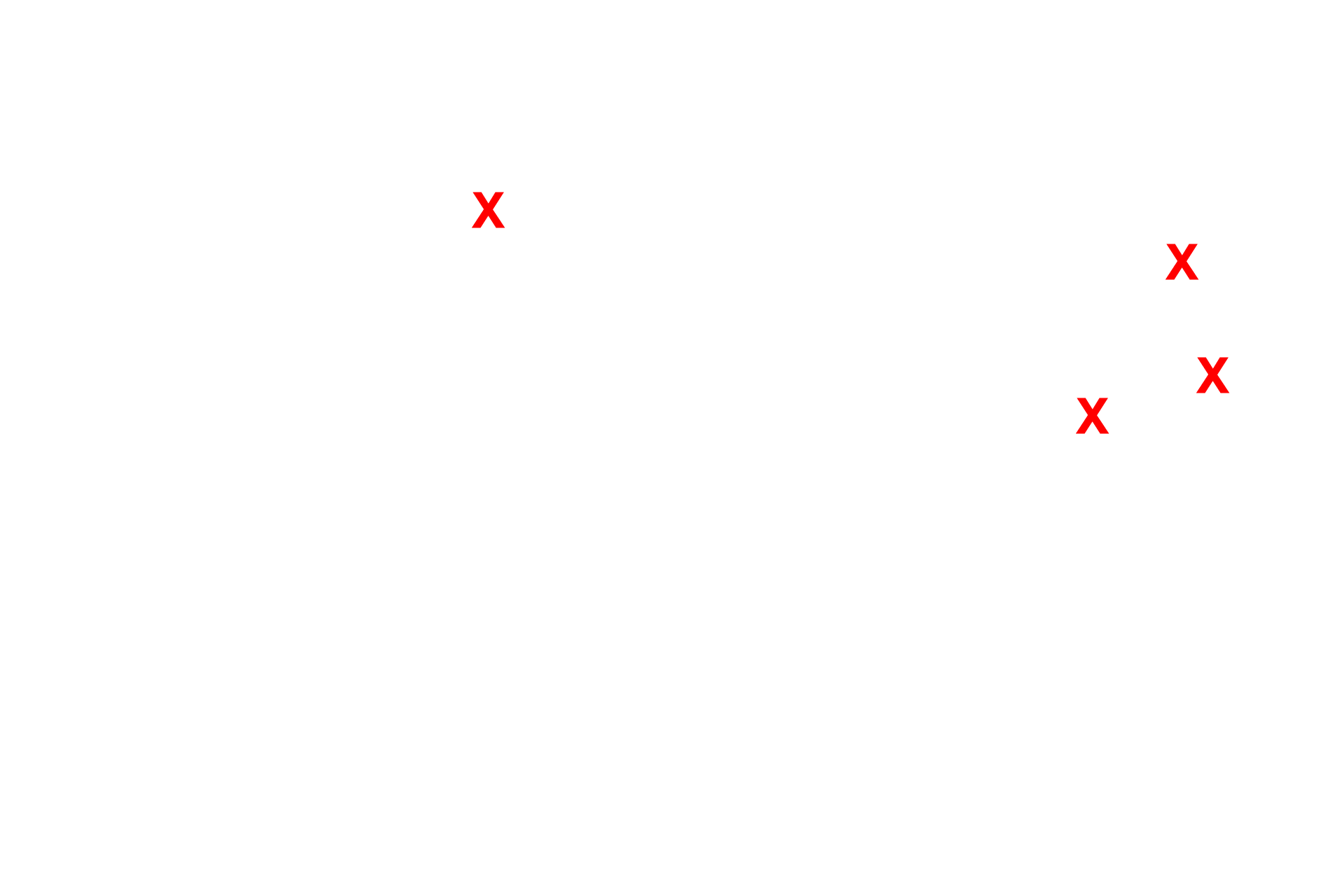 Adipocytes <p>In this adult bone marrow image, the lumens of some of the sinusoids can be seen because they are not filled with blood cells. The constituents of adult red bone marrow seen in the previous image are also seen here. 400x</p>
