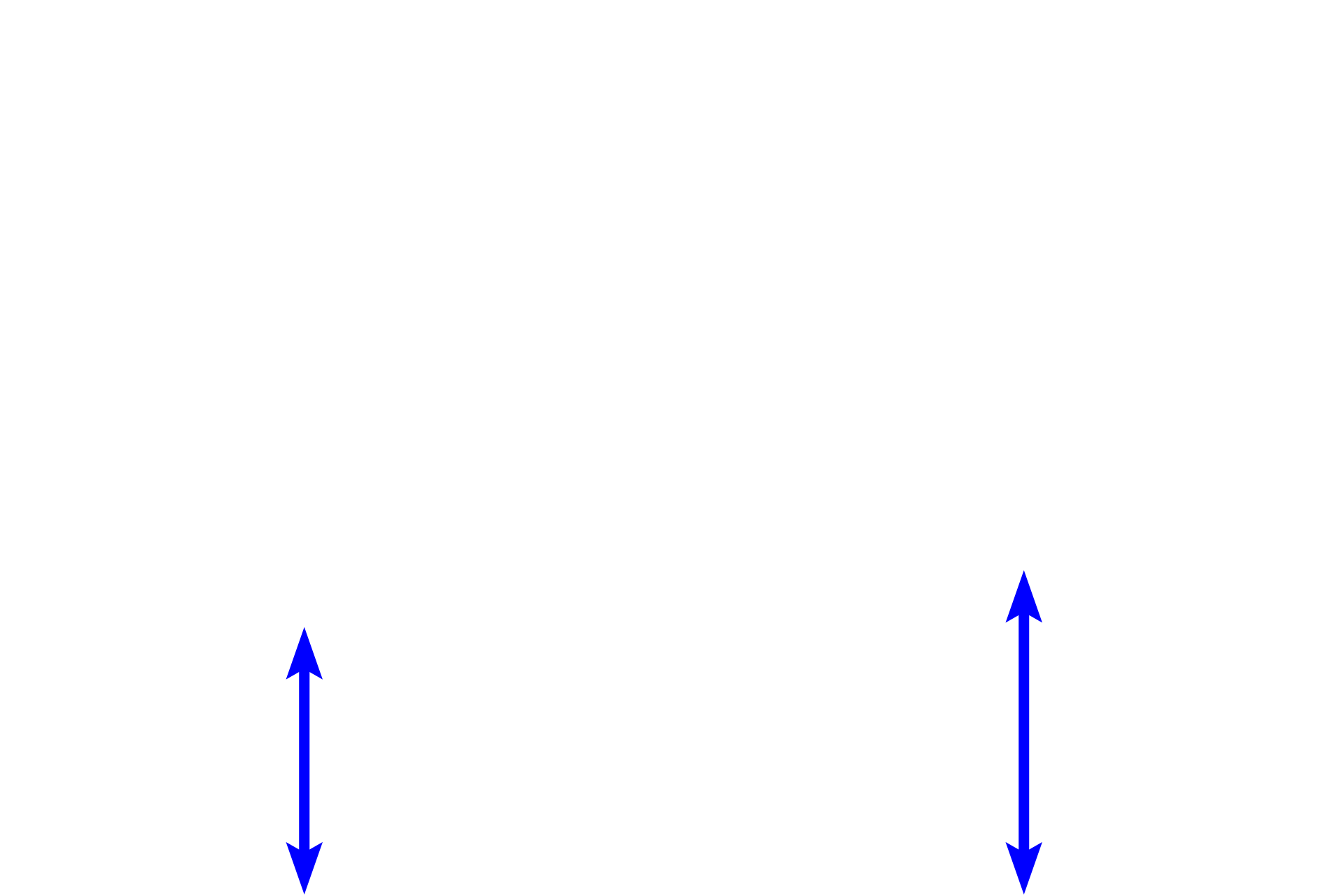 Hypodermis <p>Sweat glands, classified as simple, coiled tubular glands, exist as two types in the human, eccrine and apocrine. Eccrine sweat glands, shown here, are present in thick and thin skin throughout the body, producing a watery secretion.  They secrete by the merocrine mode and are located deep in the dermis and in the hypodermis.  100x, 100x</p>
