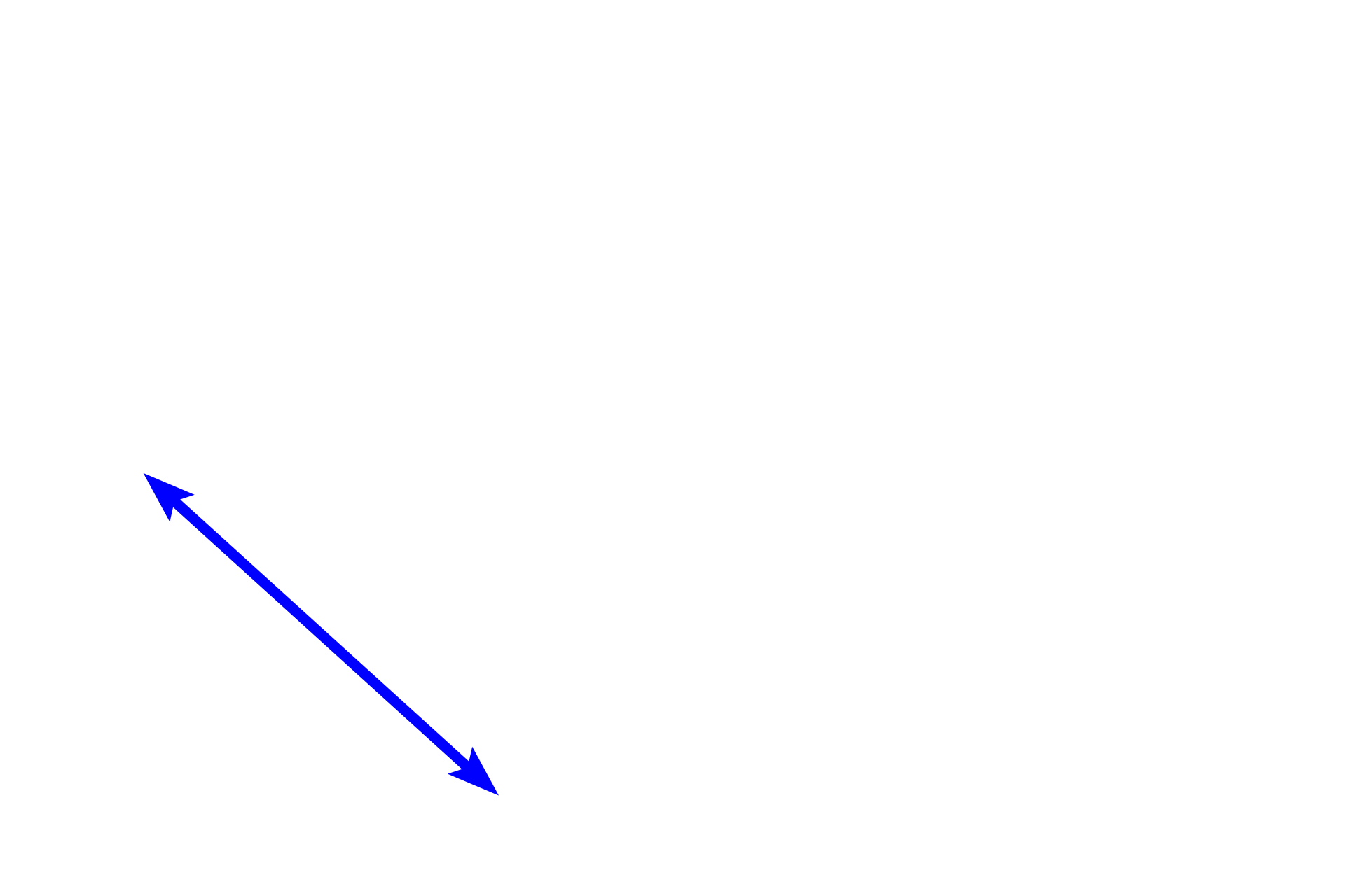 Duct <p>The secretory portion of the gland is composed of three cell types, two of which are secretory:  clear cells, which contain abundant glycogen, and dark cells, which contain secretory granules.  Both secretory cell types lie on the basement membrane.  1000x</p>
