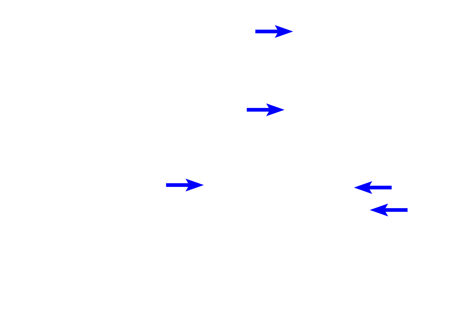  - Myoepithelial cells > <p>The third cell type is the contractile myoepithelial cell, whose long extensions wrap around the tubule.  These epithelial cells possess contractile filaments and are located at the periphery of the tubule within the basement membrane. Their contractions assist in expulsion of the gland contents.  Myoepithelial cells are also present in mammary glands, which are modified sweat glands.</p>
