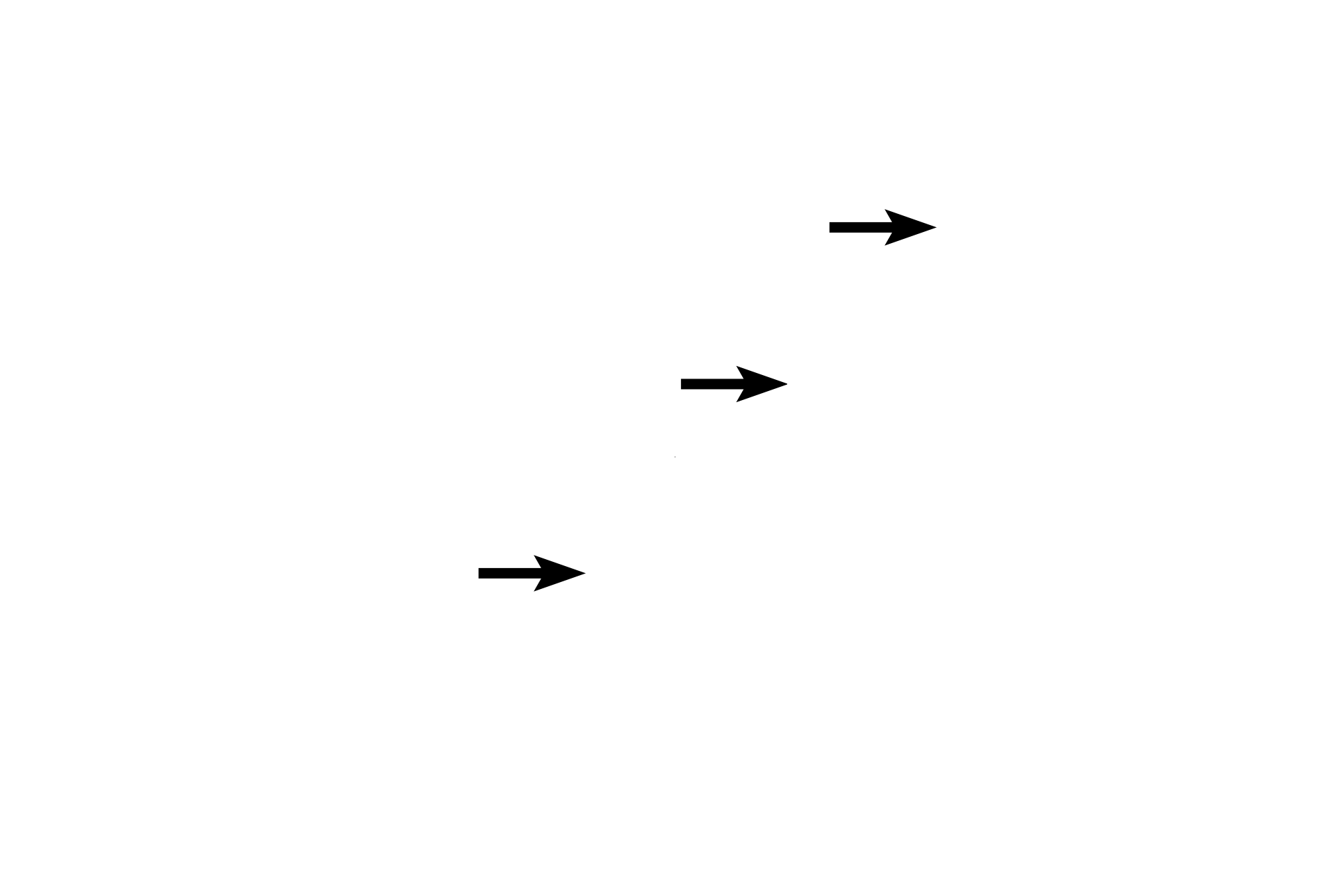  - Hair shaft <p>Hair follicles are derived from the epidermis and are present only in thin skin.  Hair follicles have a terminal dilation called the hair bulb which surrounds a central papilla composed of dermal connective tissue.  Within the papilla are numerous blood vessels necessary for survival of the follicle.  40x</p>
