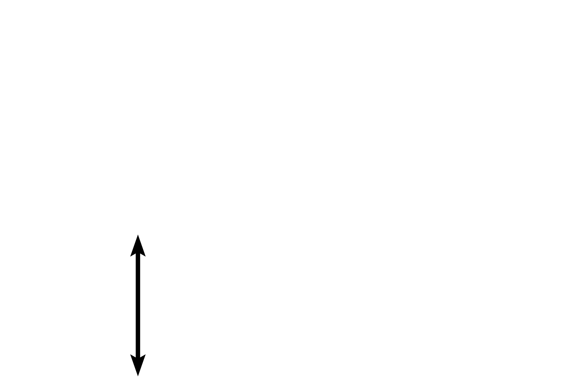 Hypodermis <p>Hair follicles are derived from the epidermis and are present only in thin skin.  Hair follicles have a terminal dilation called the hair bulb which surrounds a central papilla composed of dermal connective tissue.  Within the papilla are numerous blood vessels necessary for survival of the follicle.  40x</p>
