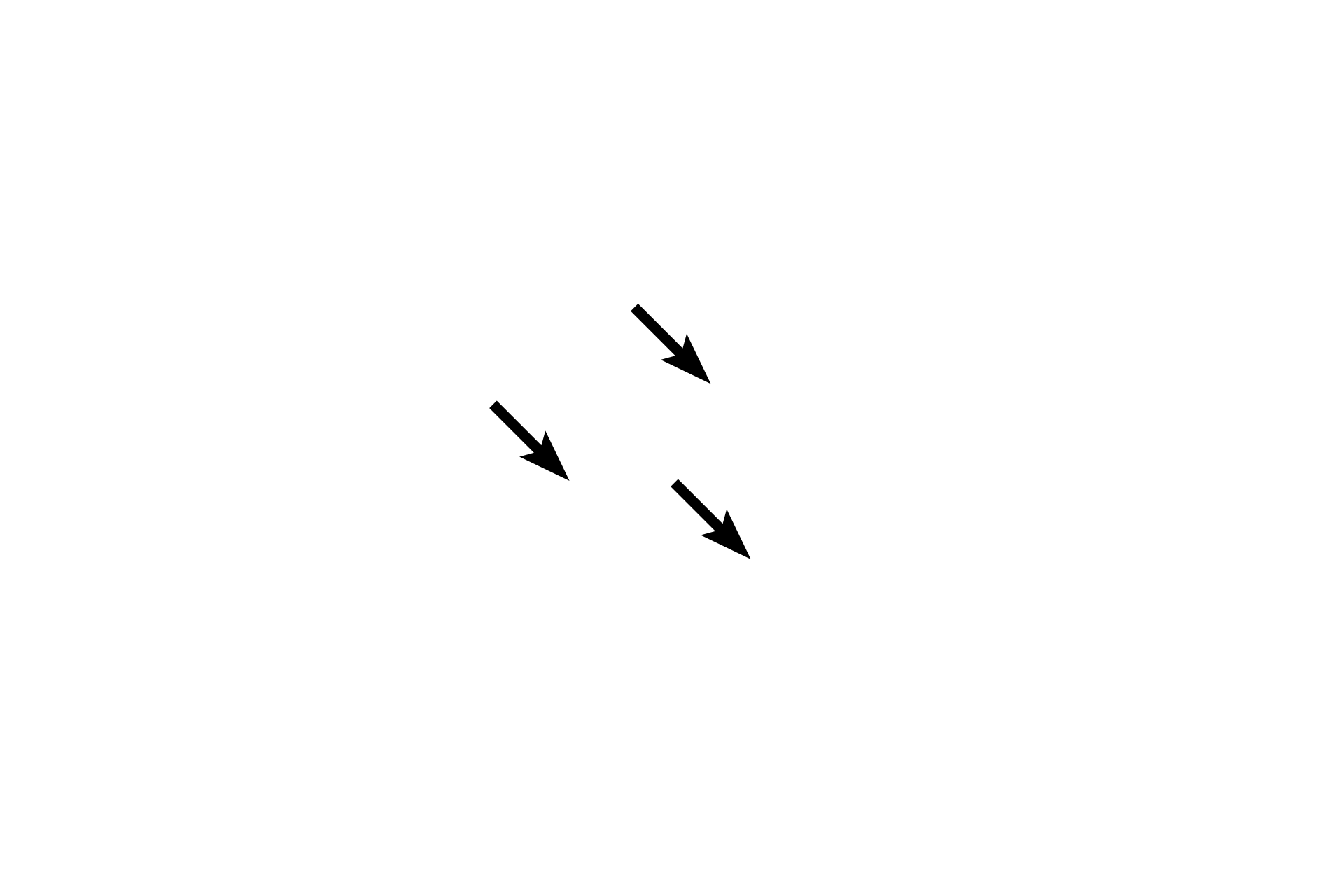  - Dead cells <p>Cells at the periphery of the acini proliferate and, as they are pushed toward the center of the acinus, accumulate lipid (sebum) and degenerate, eventually filling the center of the acinus.  These dead cells, and the sebum they contain, are released into a short duct opening onto the hair shaft.</p>
