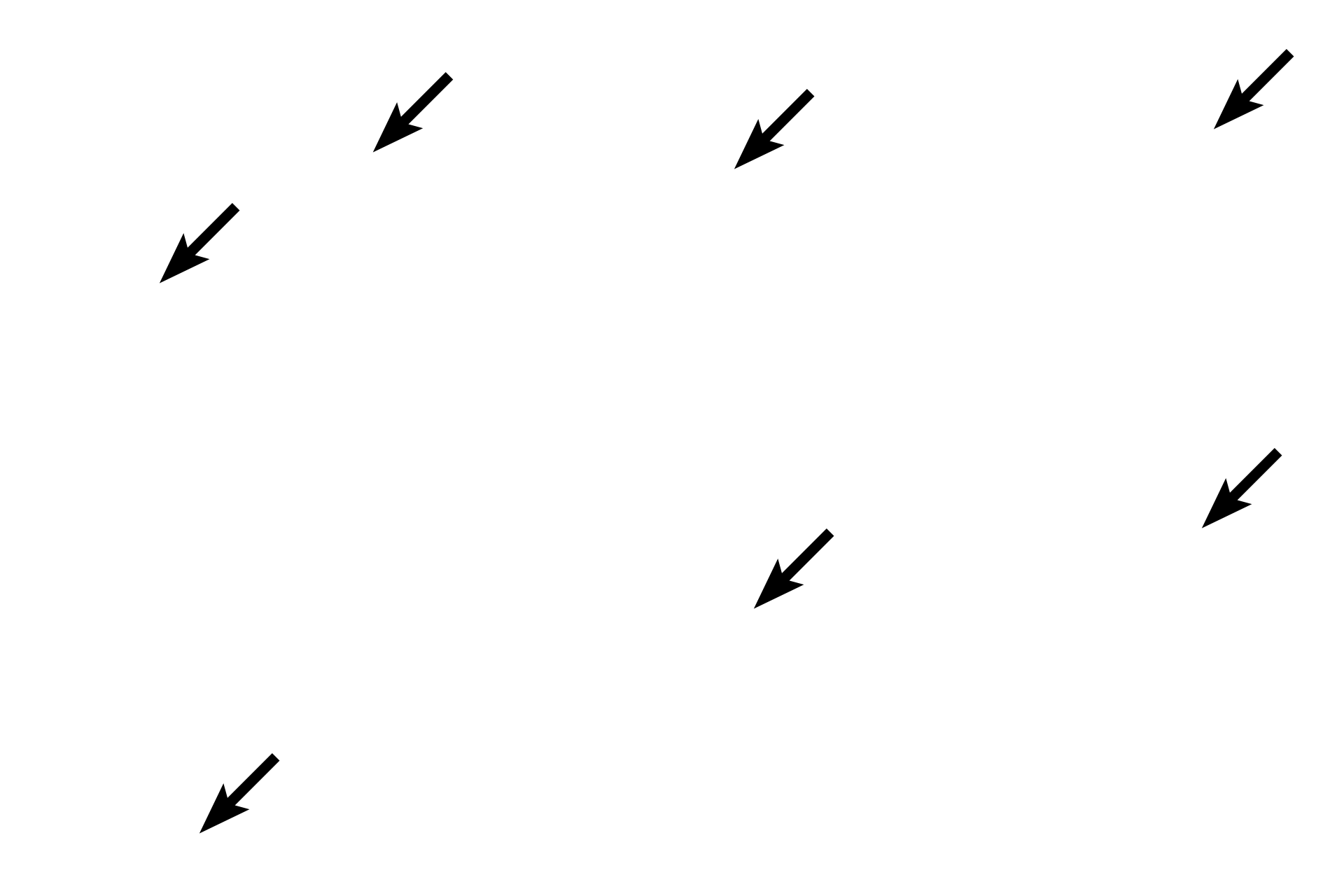 Dermis <p>The fingernail (nail plate) corresponds to stratum corneum and rests on a nail bed of strata basale and spinosum.  The nail root lies in an epidermal fold, whose stratum corneum forms the eponychium (cuticle).  Beneath the root is the nail matrix, the germinative portion of the nail.  The hyponychium, a thickened epidermis, secures the nail at the fingertip.  Upper  4x; Lower  20x</p>
