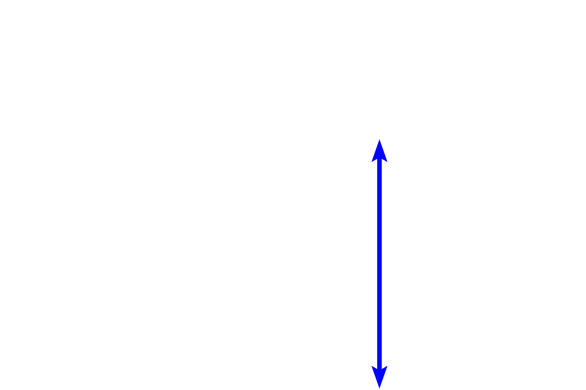 Hypodermis (subcutis) <p>The dermis of skin consists of two layers, a thin papillary layer immediately beneath the epidermis and a thick reticular layer.  The hypodermis lies beneath the skin but is not part of it.  Sweat glands, their ducts, blood vessels and sensory receptors (Pacinian corpuscles), are located deep in the dermis or in the adjacent hypodermis.  Thick skin  40x</p>
