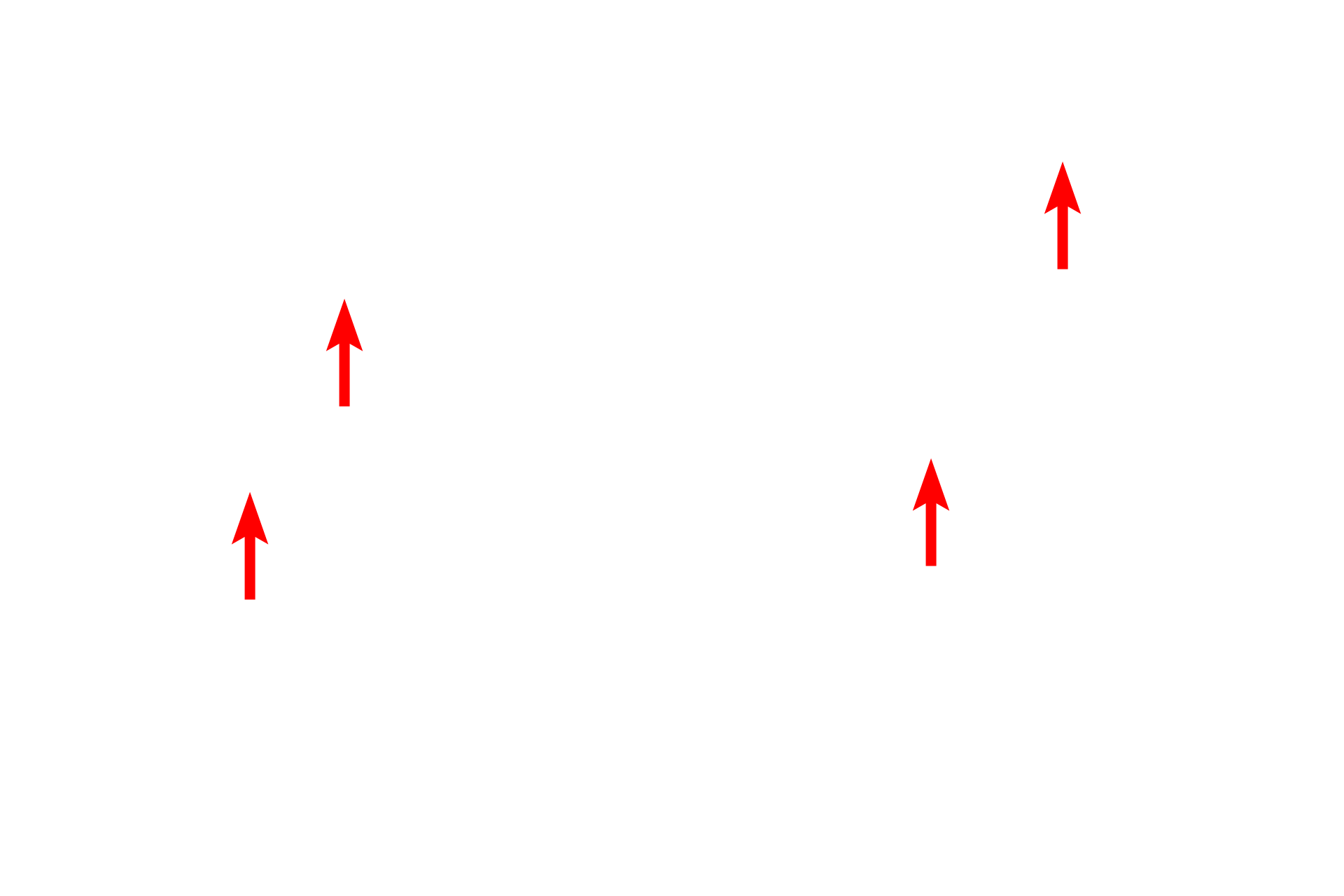 Elastic fibers <p>An electron micrograph of the reticular layer of the dermis demonstrates large collagen bundles composed of numerous collagen fibrils. Also present are dark elastic fibers criss-crossing the tissue.  An active fibroblast is present in the lower part of the image.  5000x</p>
