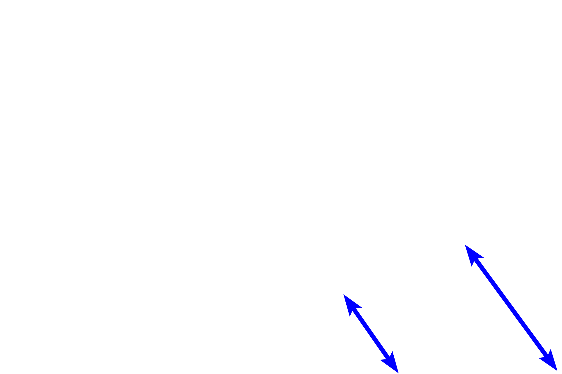  - Reticular layer <p>The papillary layer of the dermis, composed of loose connective tissue, forms an undulating interface with the overlying epidermis.  At this junction, dermal papillae alternate with epidermal ridges or pegs (rete ridges or pegs) projecting downward from the epidermis.  The thicker reticular layer of dermis is composed of dense irregular connective tissue.  200x</p>
