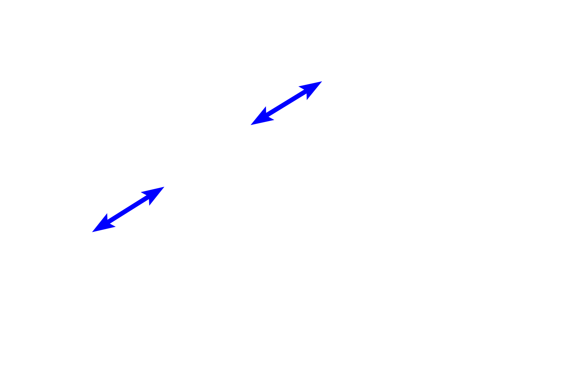  - Dermal papillae <p>Higher magnification of the dermis shows that the papillary layer is composed of loose connective tissue.  The reticular layer of the dermis is composed of dense, irregular connective tissue.  Contrast the size of collagen bundles in these two layers.  400x</p>
