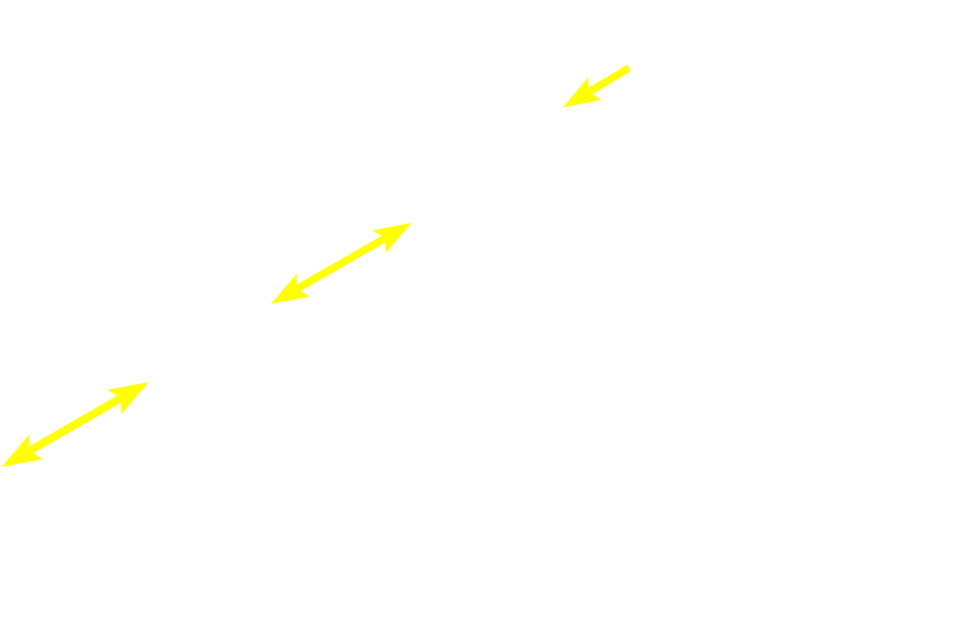  - Epidermal ridges (pegs) <p>Higher magnification of the dermis shows that the papillary layer is composed of loose connective tissue.  The reticular layer of the dermis is composed of dense, irregular connective tissue.  Contrast the size of collagen bundles in these two layers.  400x</p>
