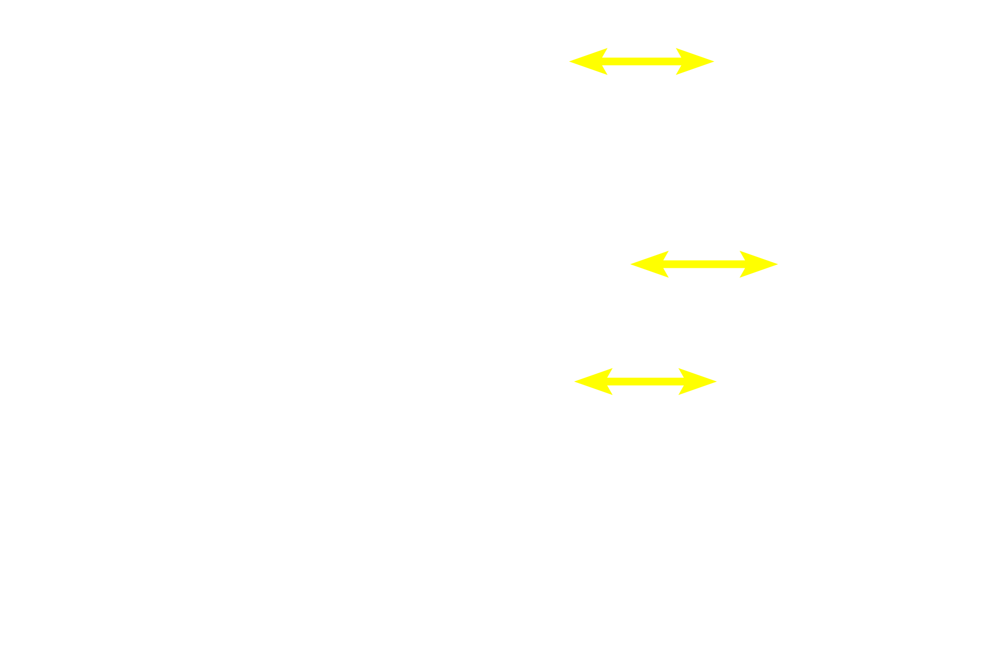 Stratum spinosum cells <p>Stratum spinosum contains 3-10 layers of polygonal keratinocytes with euchromatic nuclei. These cells possess prominent tonofibrils, bundles of intermediate filaments (tonofilaments) composed of keratin protein.  Adjacent keratinocytes are attached by numerous desmosomes, creating the spiny appearance around their periphery. 200x, 1,500x</p>
