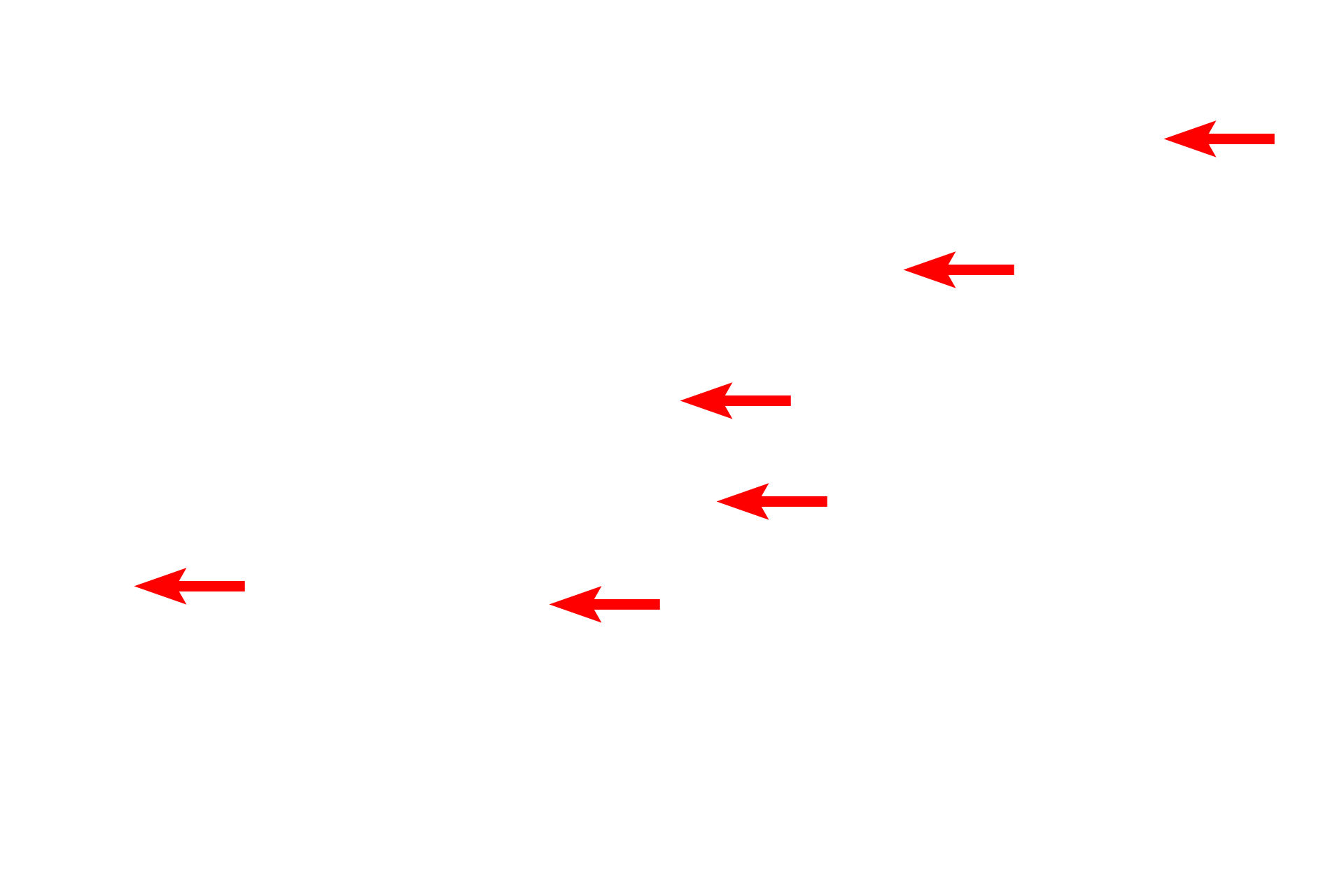 Intercellular space > <p>Adhesion proteins extend from the attachment plaques into the intercellular space, where they overlap with similar proteins from the adjacent cell. This overlap and the molecular interactions of the adhesion proteins provide the attachment between adjacent cells.</p>
