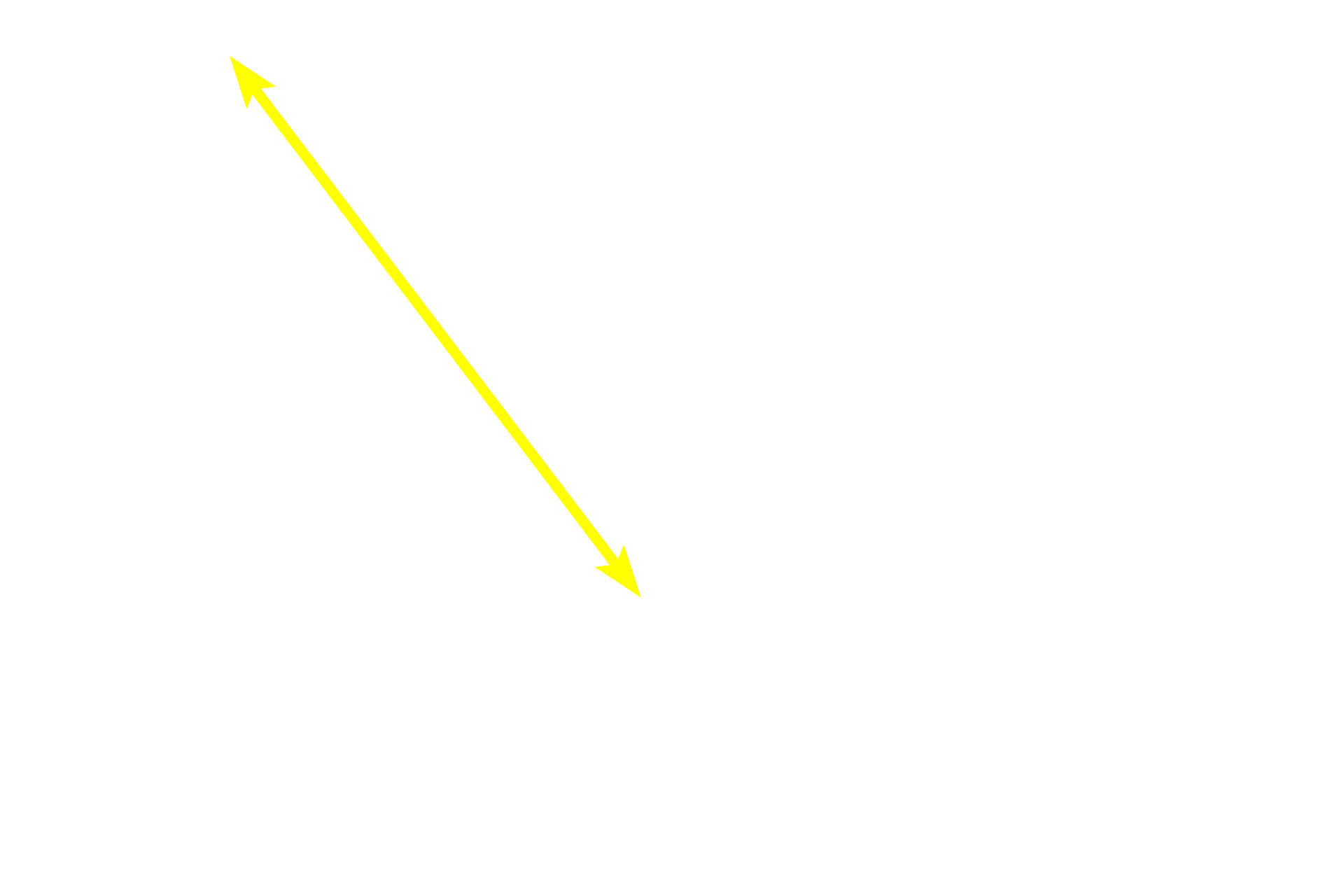 - Stratum corneum <p>Thick skin, located on the fingertips, palms and soles of the feet, has a much thicker stratum corneum.  Additionally, a stratum lucidum is present between the stratum granulosum and the stratum corneum.  The stratum lucidem is a clear layer of non-nucleated, flattened cells, and is considered a subdivision of the stratum corneum. 100x</p>
