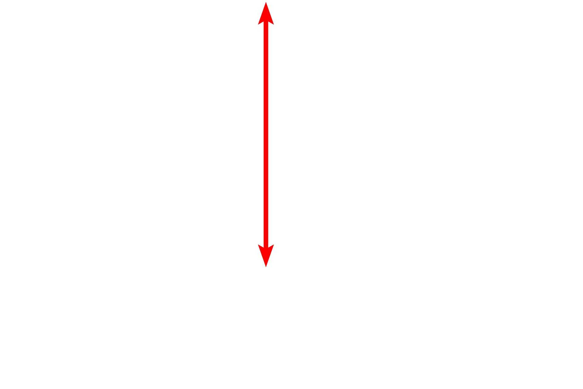 Stratum basale <p>Cells of the stratum basale rest on a basal lamina, securely anchored to it by numerous hemidesmosomes into which keratin filaments insert. The basal lamina is composed of a lamina lucida and a lamina densa, which rests, in turn, on the reticular lamina of the dermis. Fibrils from lamina densa anchor the basal lamina to the reticular lamina. The basal lamina together with the reticular lamina constitute the basement membrane.  35,000x</p>
