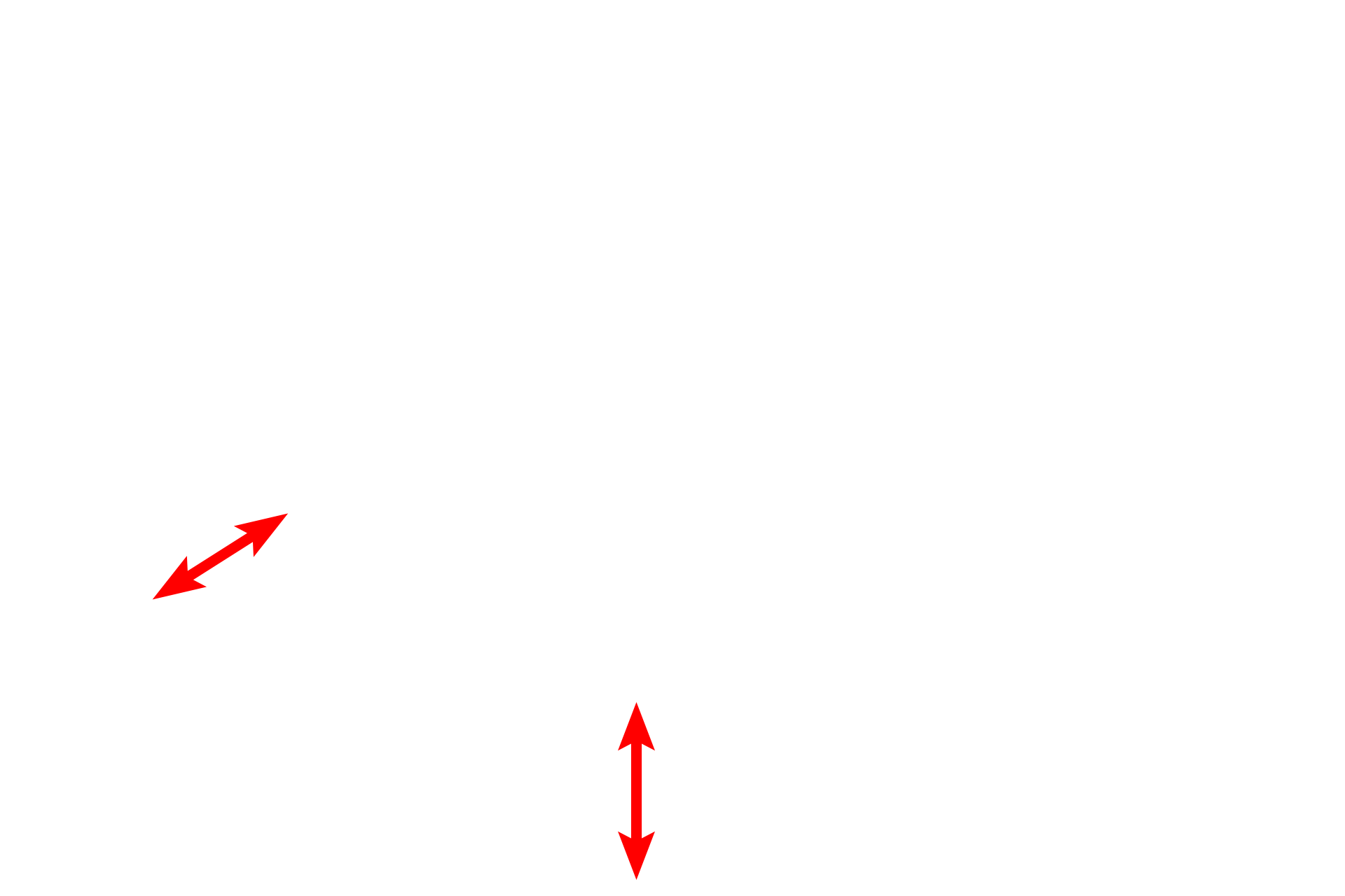 Reticular lamina <p>Cells of the stratum basale rest on a basal lamina, securely anchored to it by numerous hemidesmosomes into which keratin filaments insert. The basal lamina is composed of a lamina lucida and a lamina densa, which rests, in turn, on the reticular lamina of the dermis. Fibrils from lamina densa anchor the basal lamina to the reticular lamina. The basal lamina together with the reticular lamina constitute the basement membrane.  35,000x</p>
