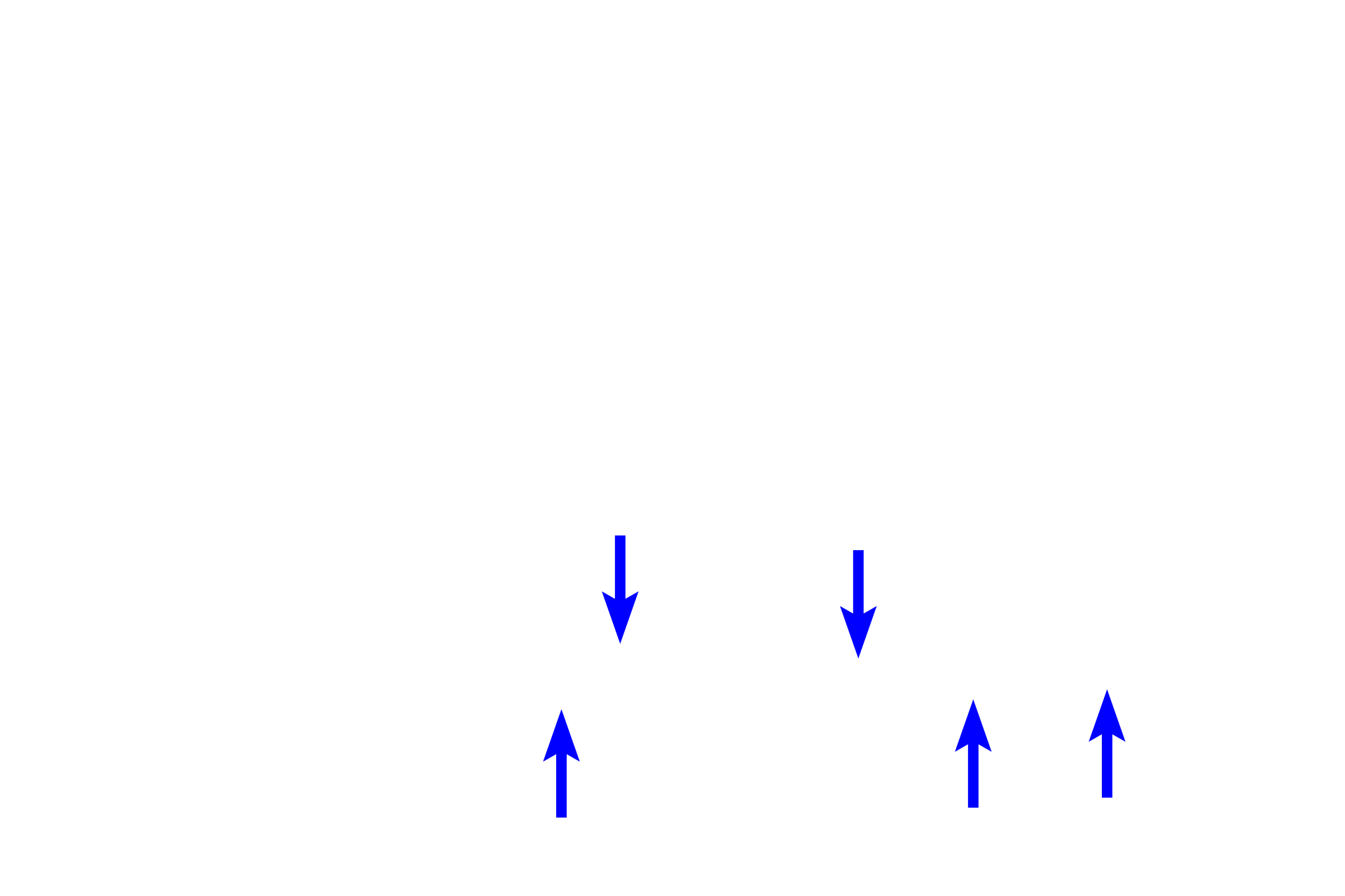 Melanin granules <p>Melanocytes are located primarily in the stratum basale, although they can also be found in the stratum spinosum.  Melanocytes synthesize melanin pigment, which they package into melanosomes (melanin granules) that are transferred to neighboring keratinocytes.  Melanin protects nuclear DNA in keratinocytes against ultraviolet light.</p>
