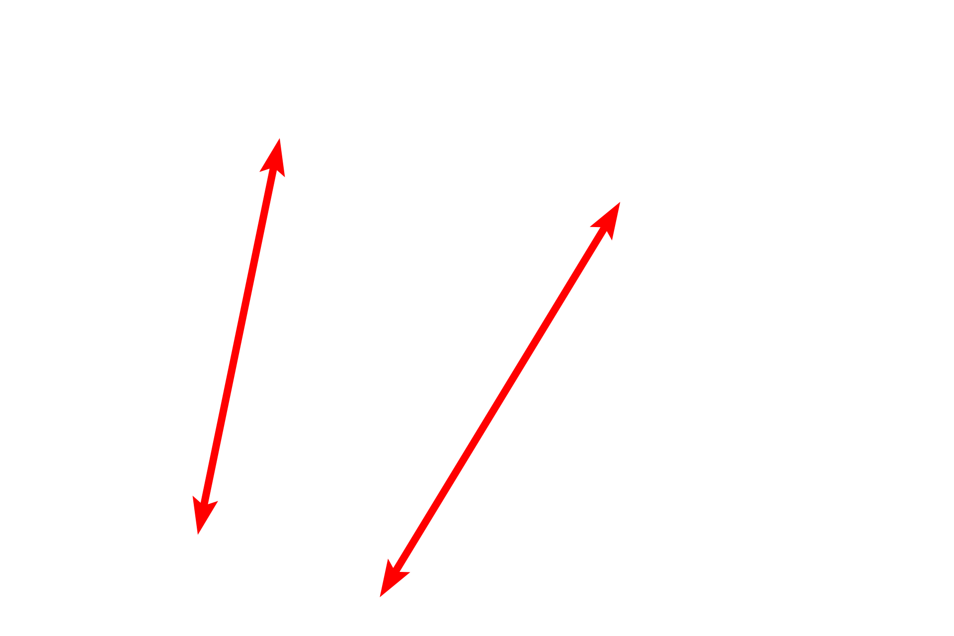 Stratum basale <p>This electron micrograph shows the stratum basale, consisting of a single layer of columnar cells.  The basal surfaces of these keratinocytes are highly folded for anchorage to the basal lamina.  The cells contain tonofibrils composed of tonofilaments (keratin filaments), which are mostly oriented perpendicular to the basal lamina.  4000x</p>
